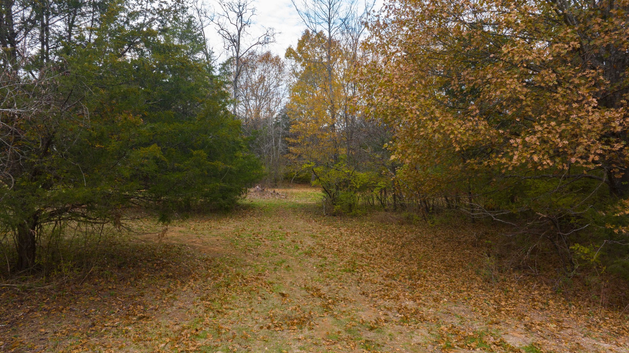 888 Baker Rd Property Photo 66