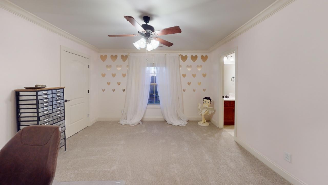 1030 Alice Springs Cir Property Photo 51