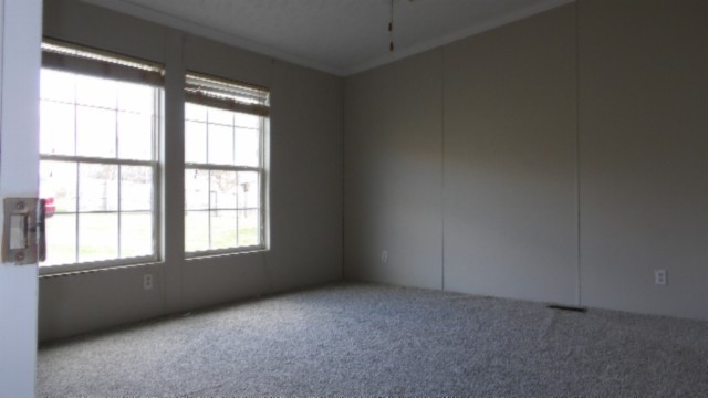11508 Clay County Hwy Property Photo 21