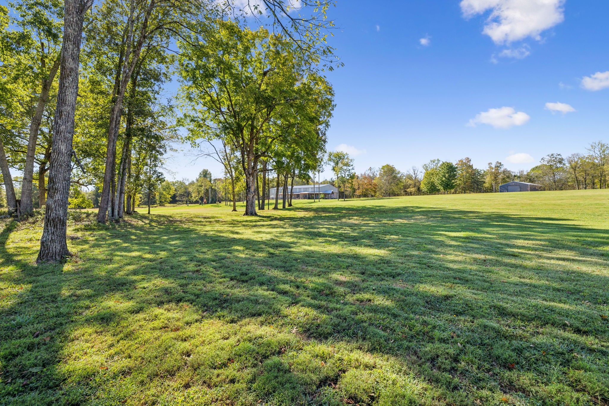 1090 Wilson School Rd Property Photo 69