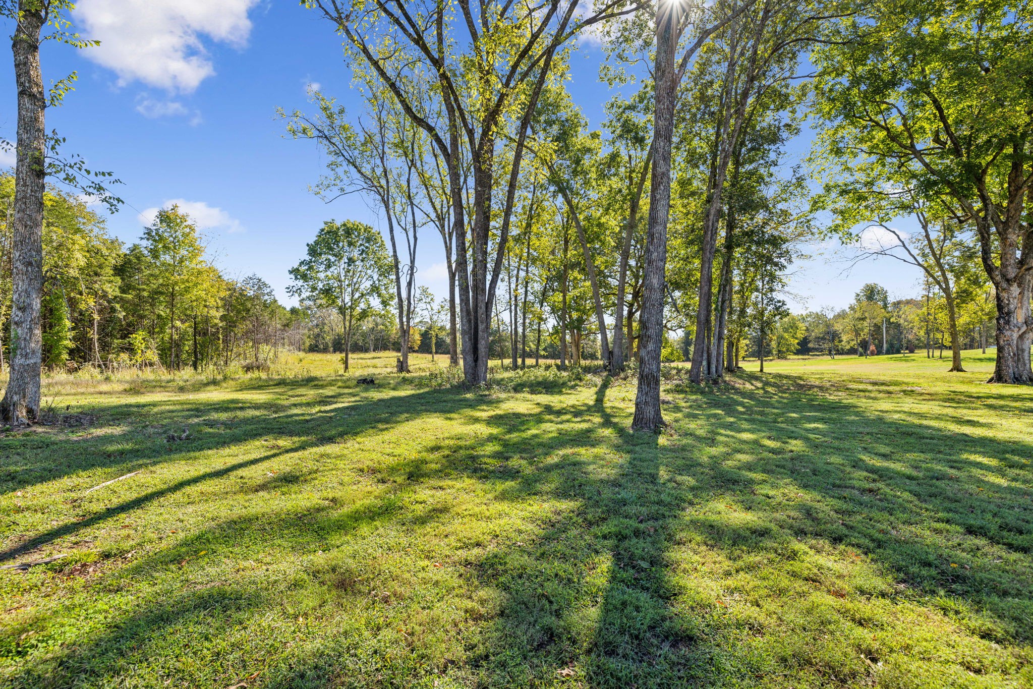 1090 Wilson School Rd Property Photo 71