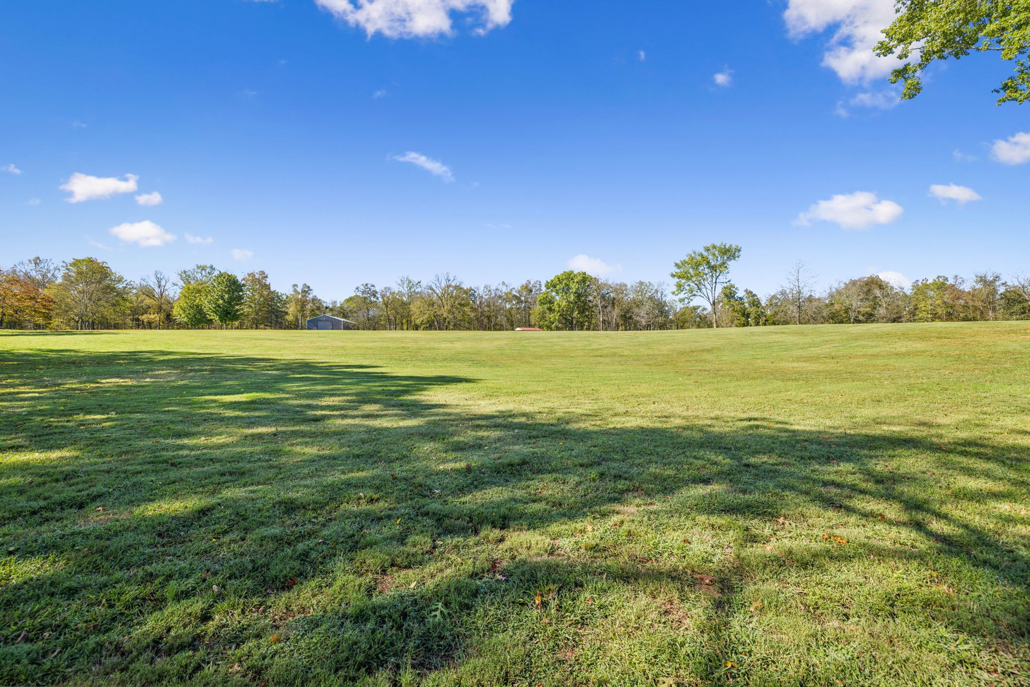 1090 Wilson School Rd Property Photo 72