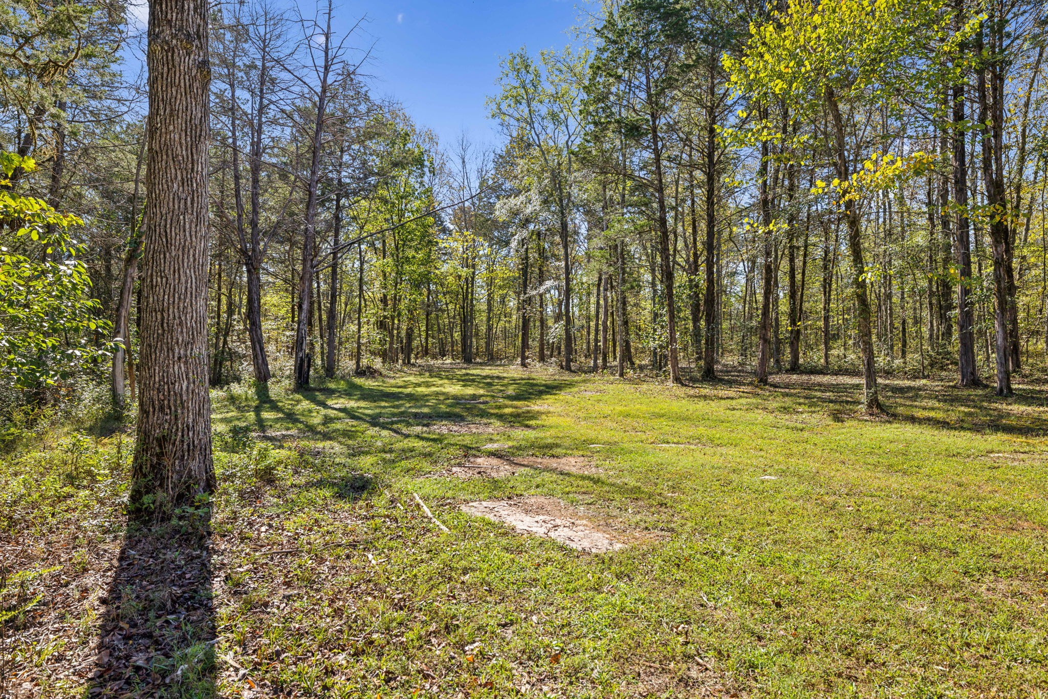 1090 Wilson School Rd Property Photo 75