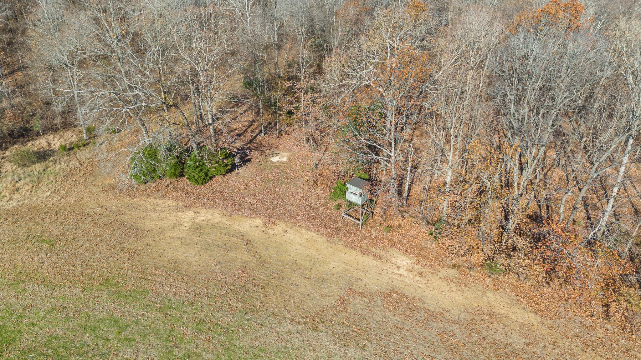 2205 Woodburn Hay Rd Property Photo 44