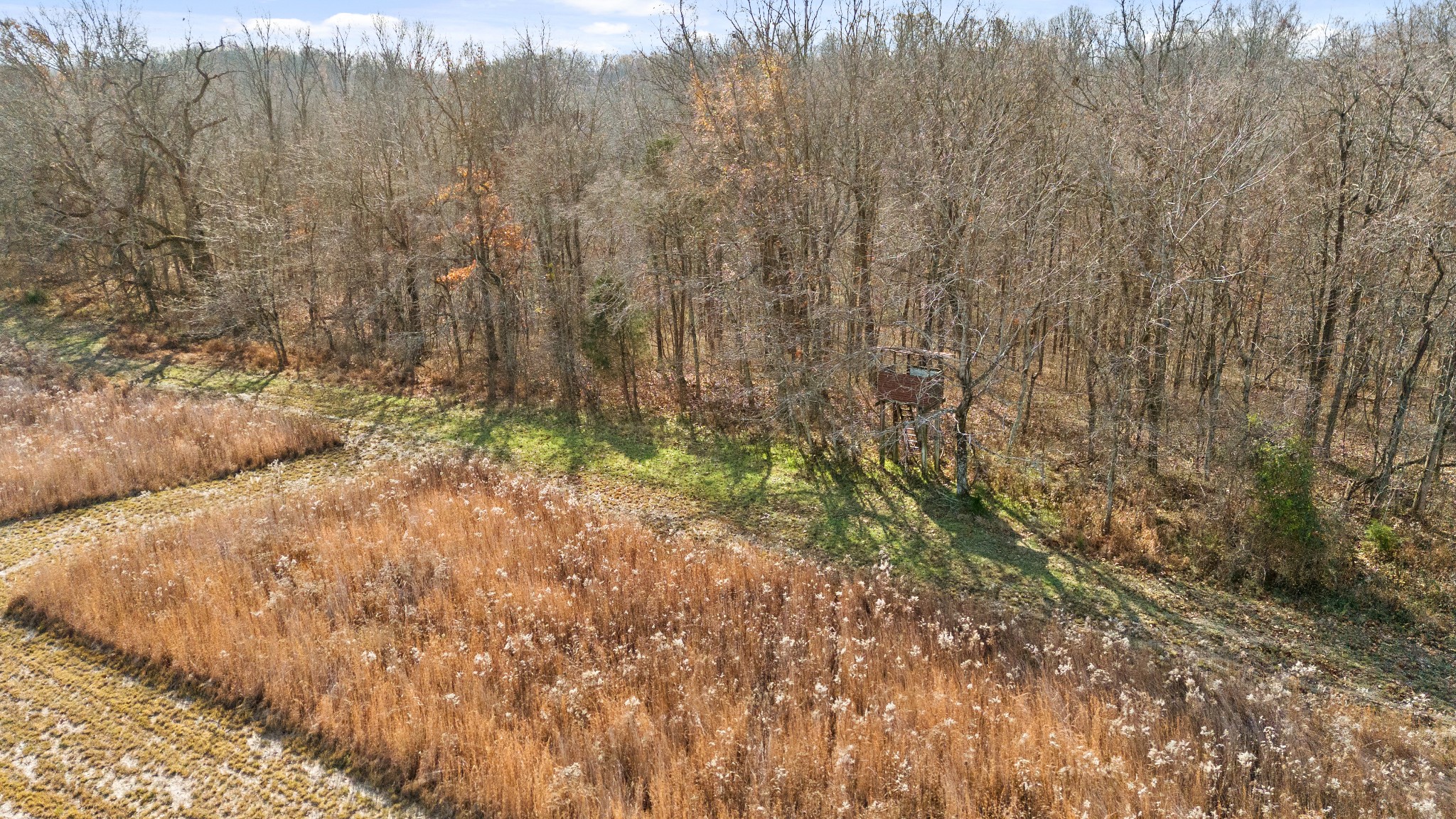 2205 Woodburn Hay Rd Property Photo 47