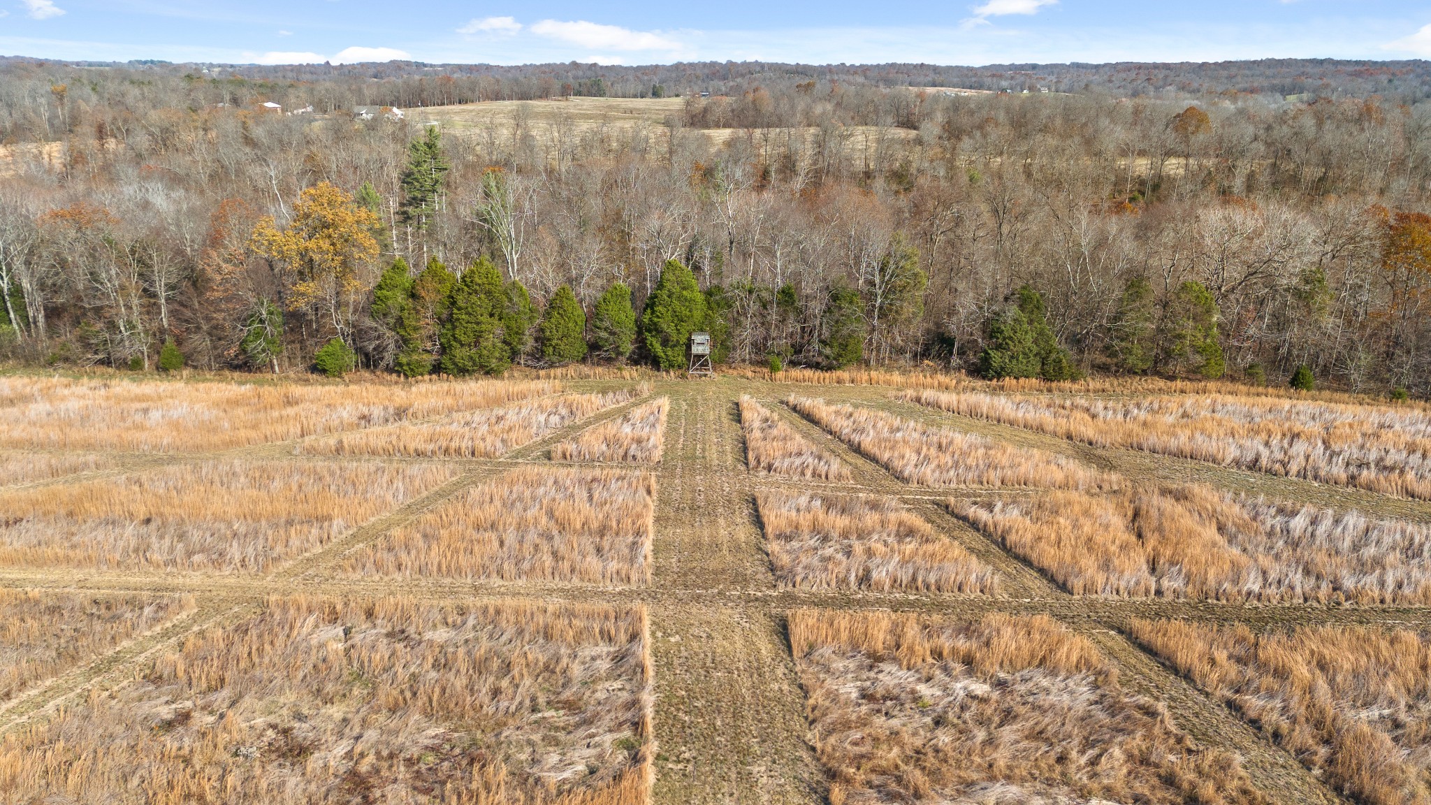 2205 Woodburn Hay Rd Property Photo 49