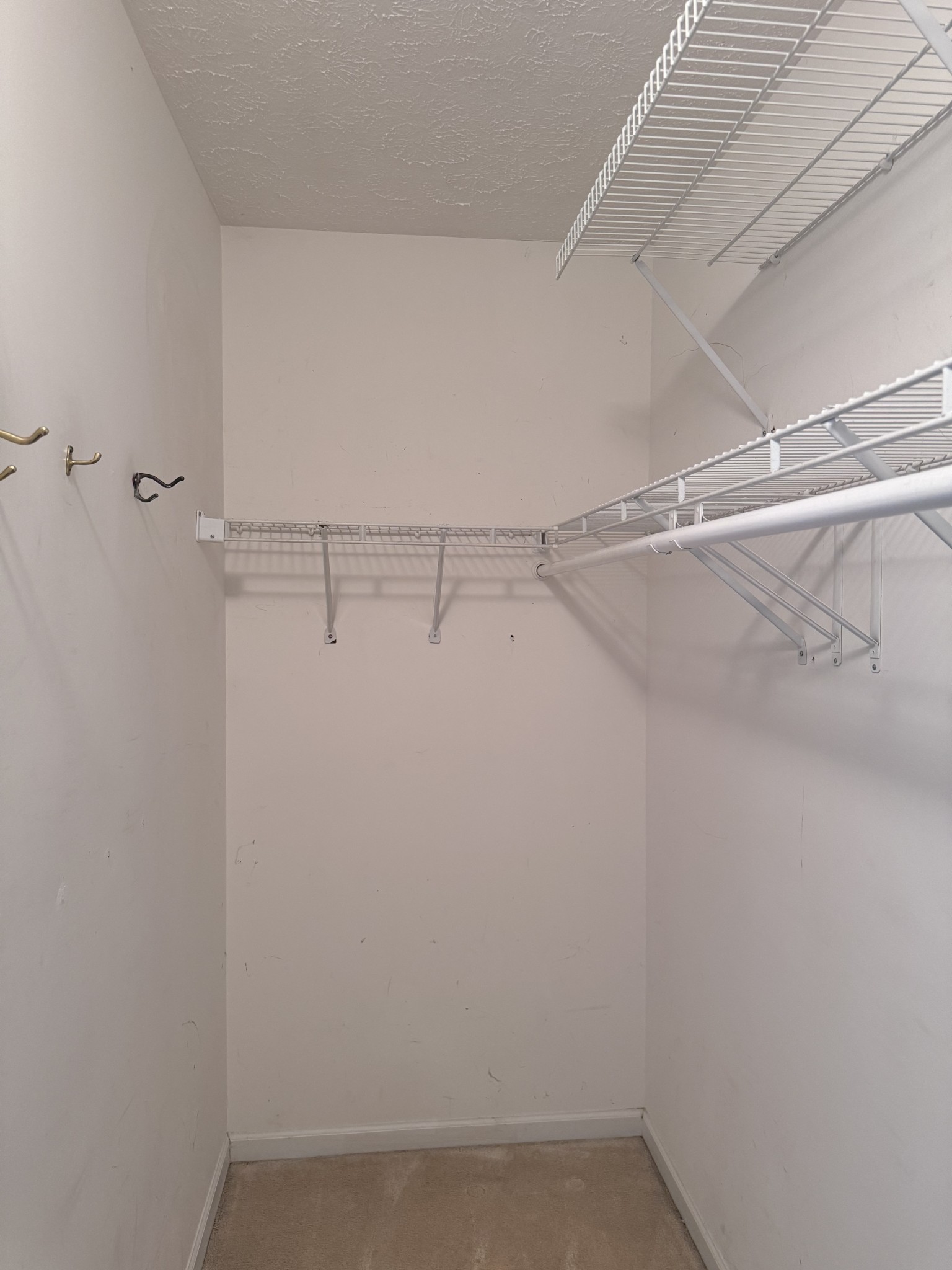 2403 Brookstone Pl Property Photo 23