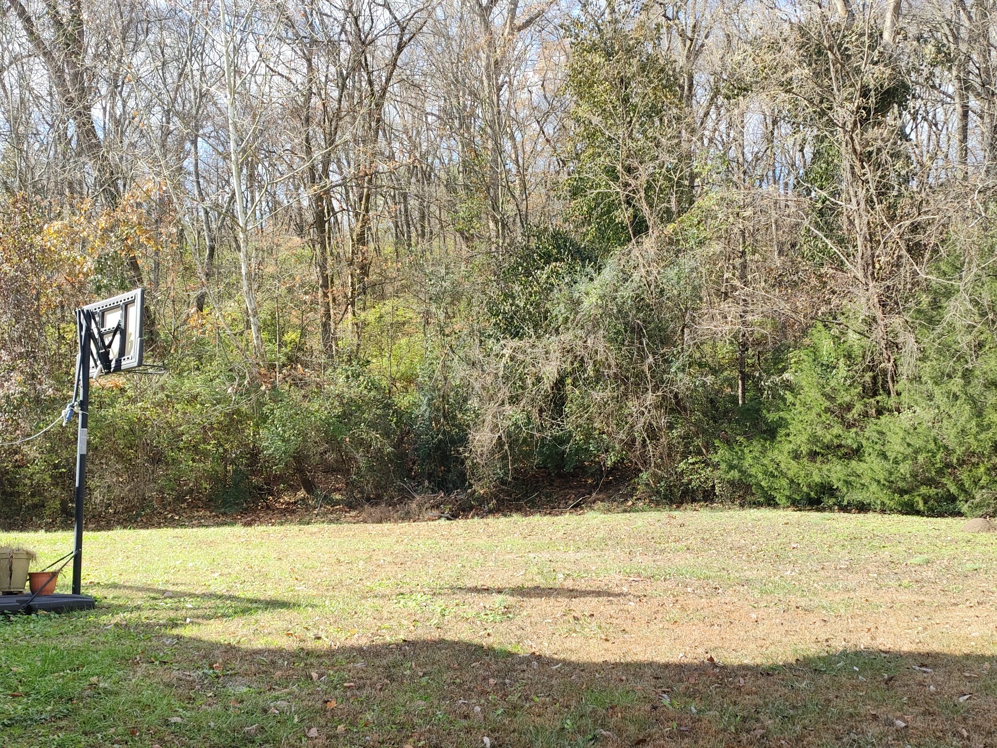 7248 Wild Apple Ct Property Photo 3