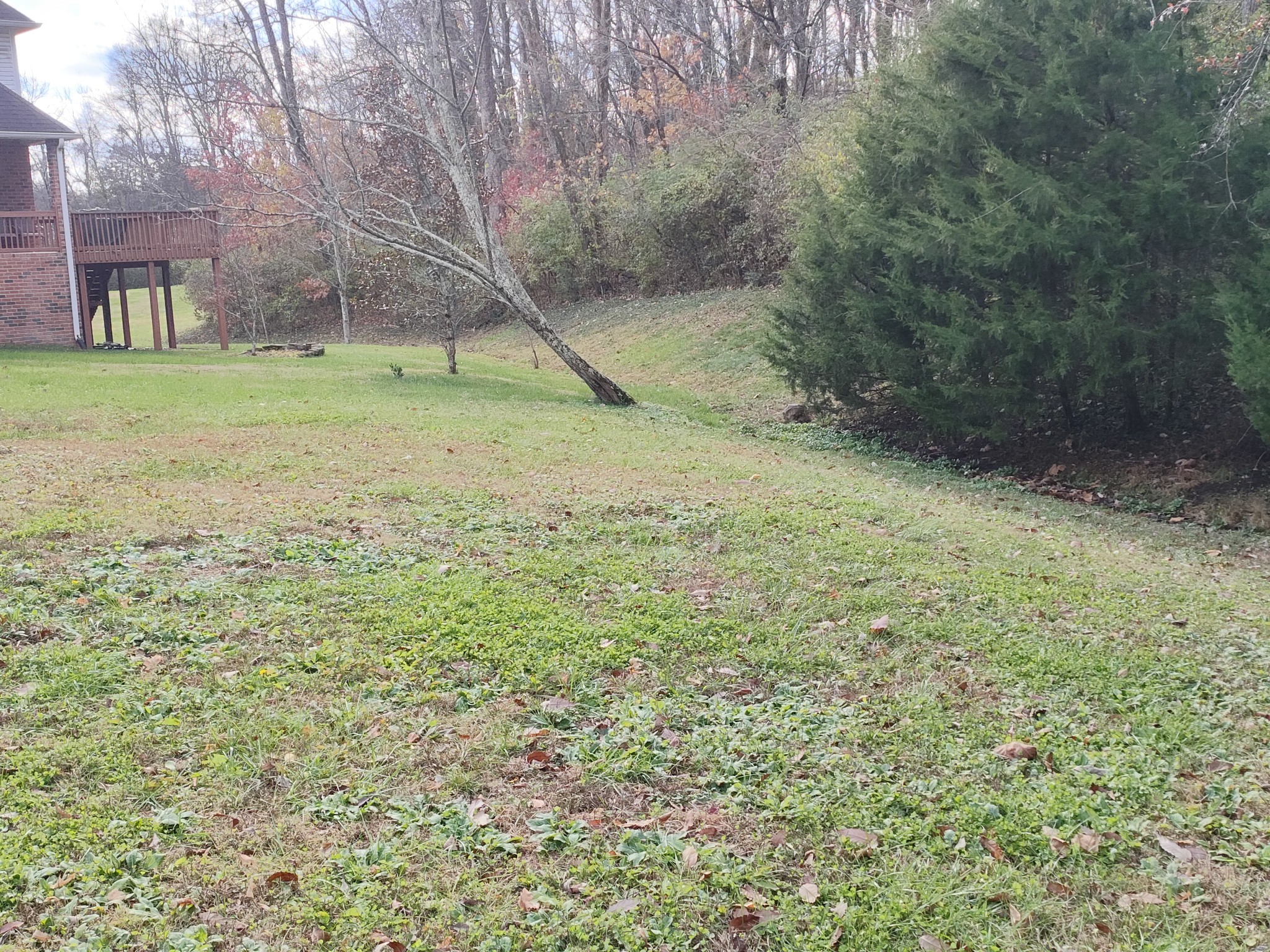 7248 Wild Apple Ct Property Photo 22