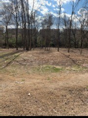 4850 Lebanon Rd Property Photo 2