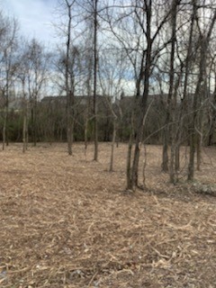 4850 Lebanon Rd Property Photo 25