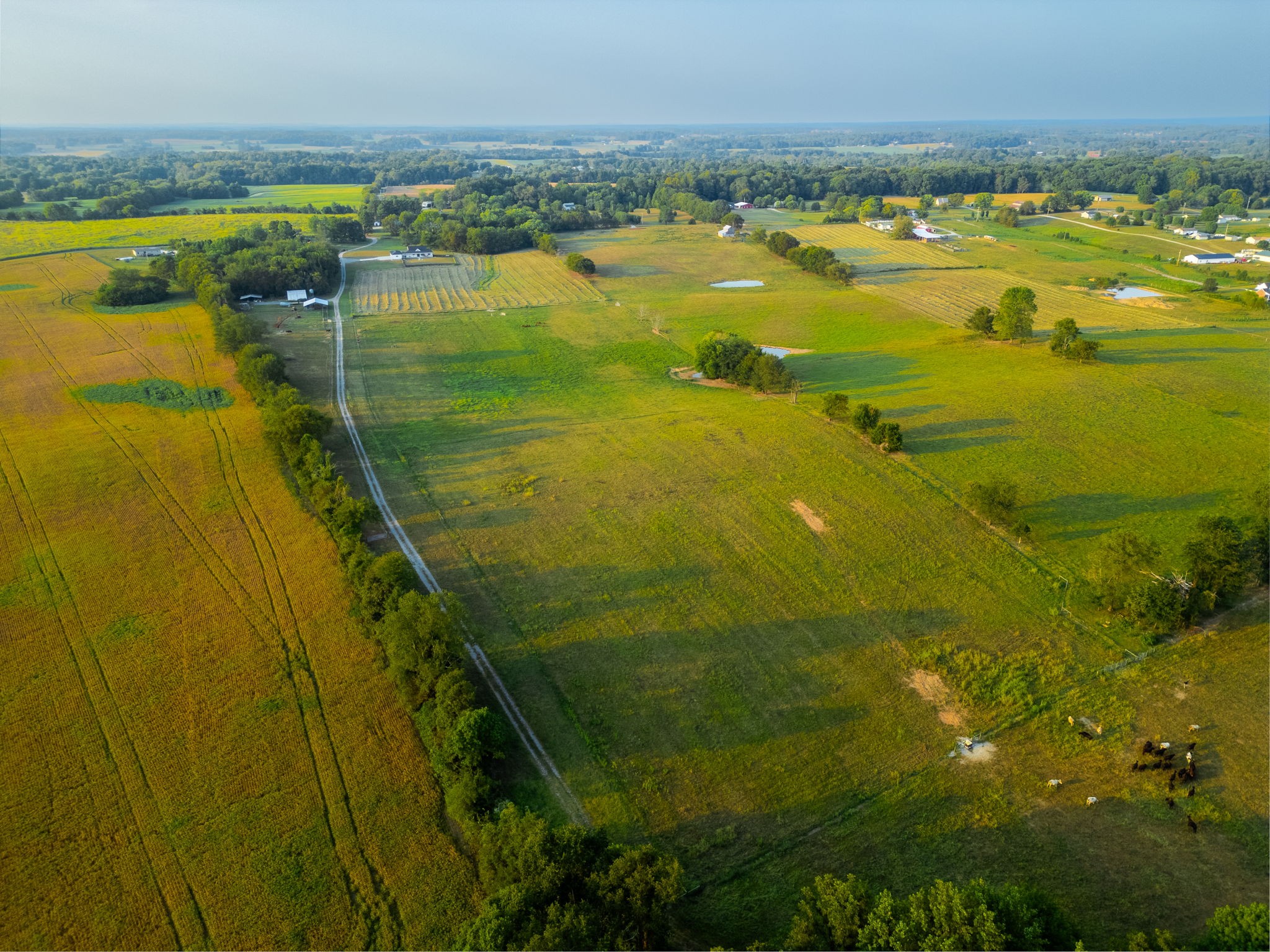 1074 Pair Six Drive Property Photo 46