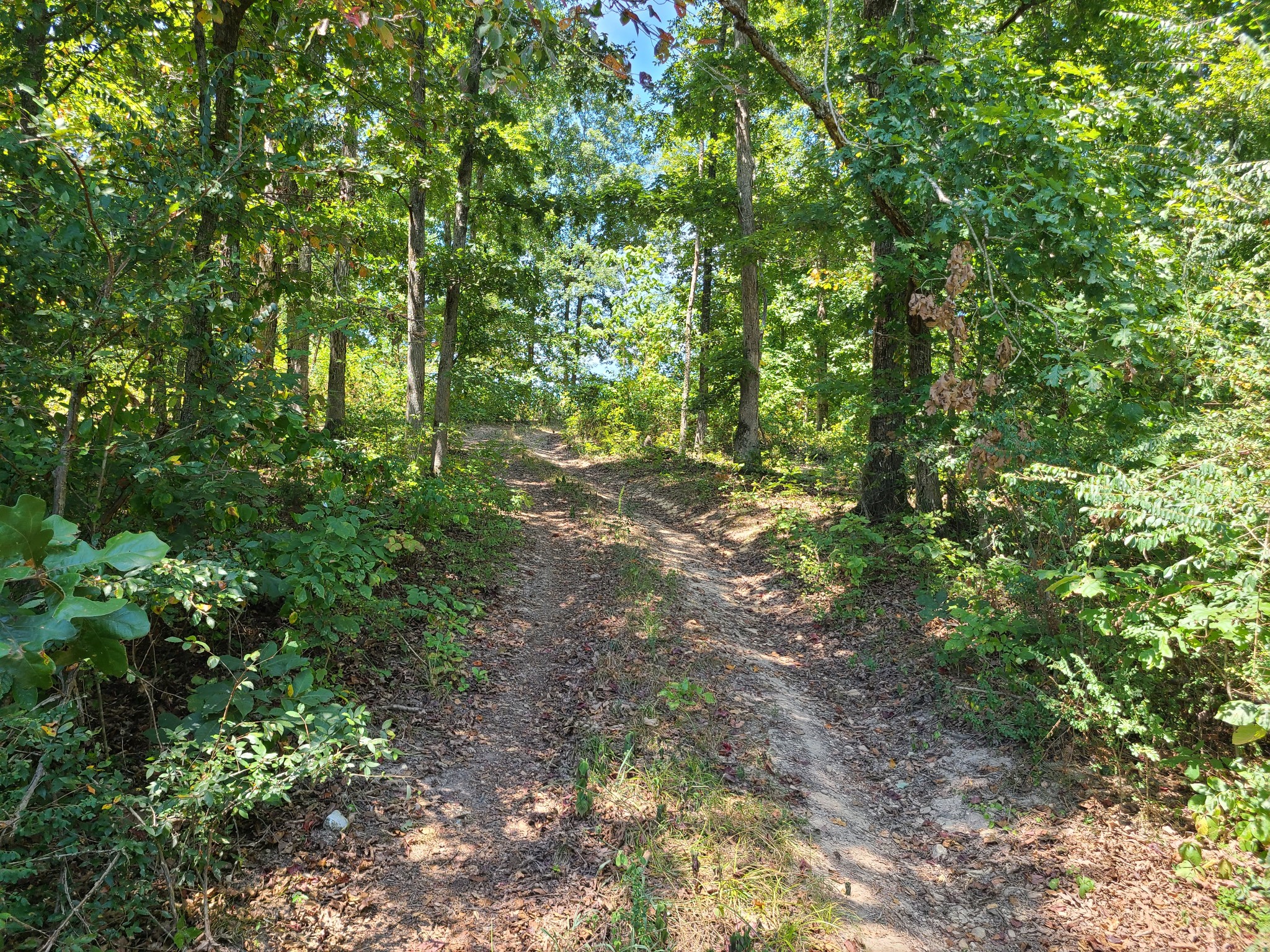 1150 Bell Hollow Rd Property Photo 11