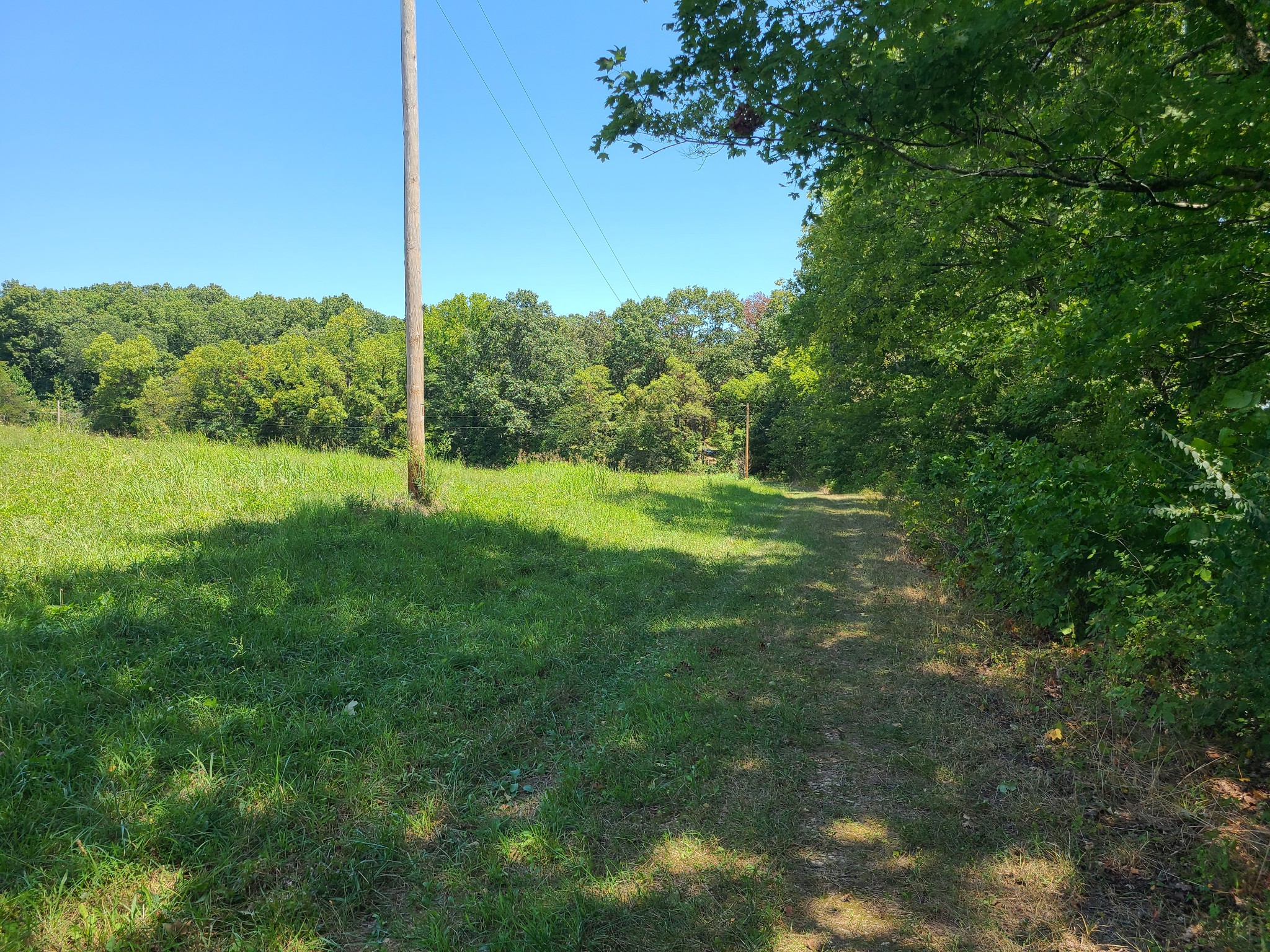 1150 Bell Hollow Rd Property Photo 13