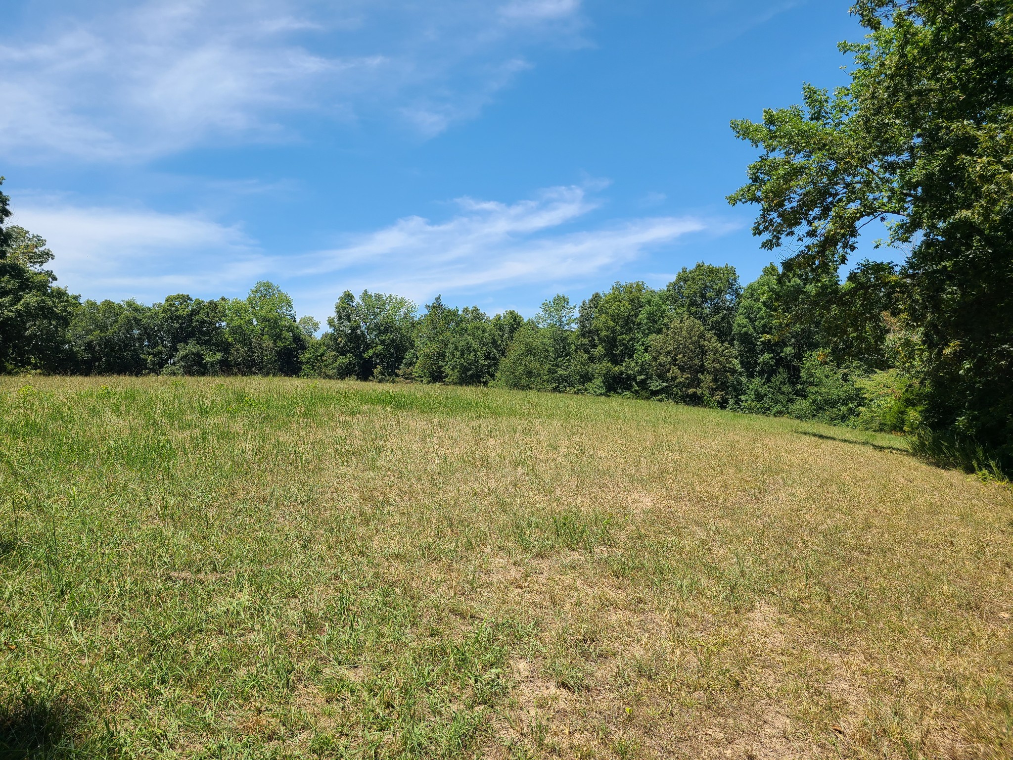 1150 Bell Hollow Rd Property Photo 14