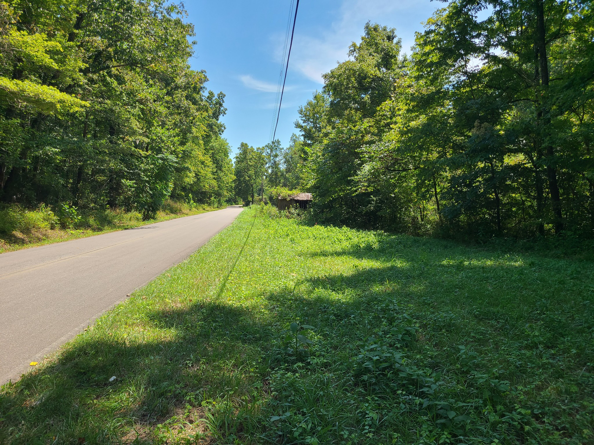 1150 Bell Hollow Rd Property Photo 15