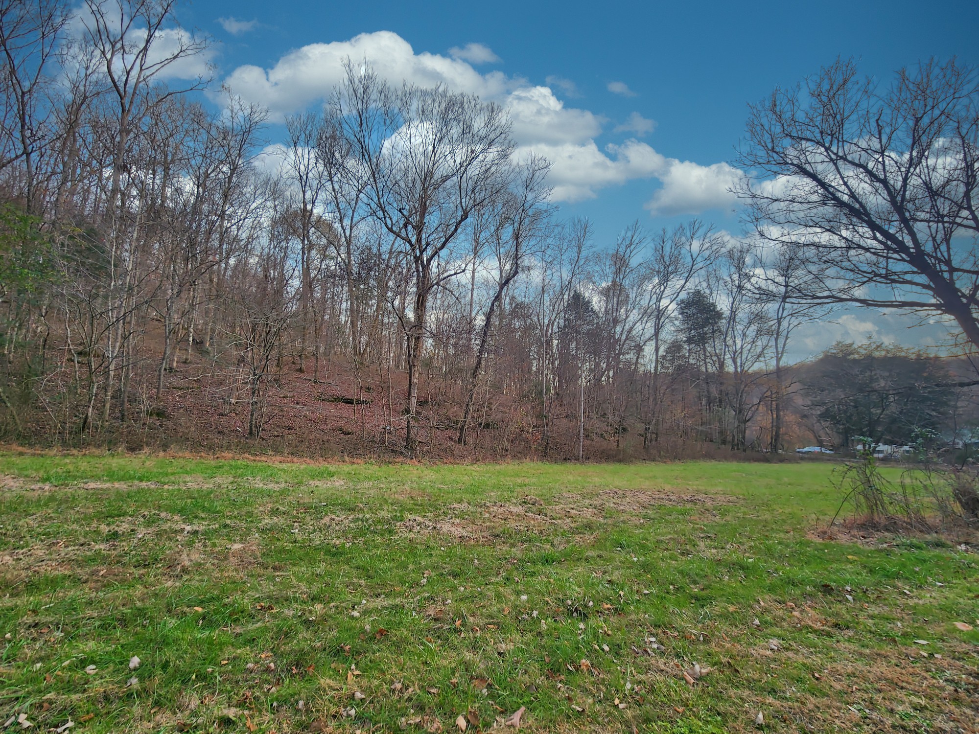 252 Williams Hollow Rd Property Photo 6