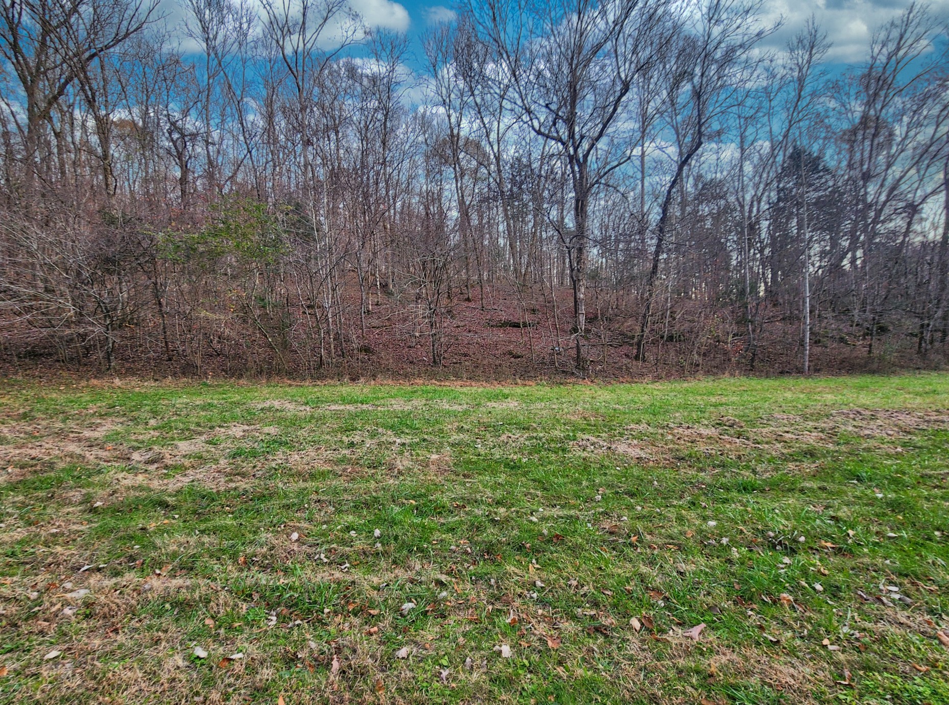 252 Williams Hollow Rd Property Photo 7