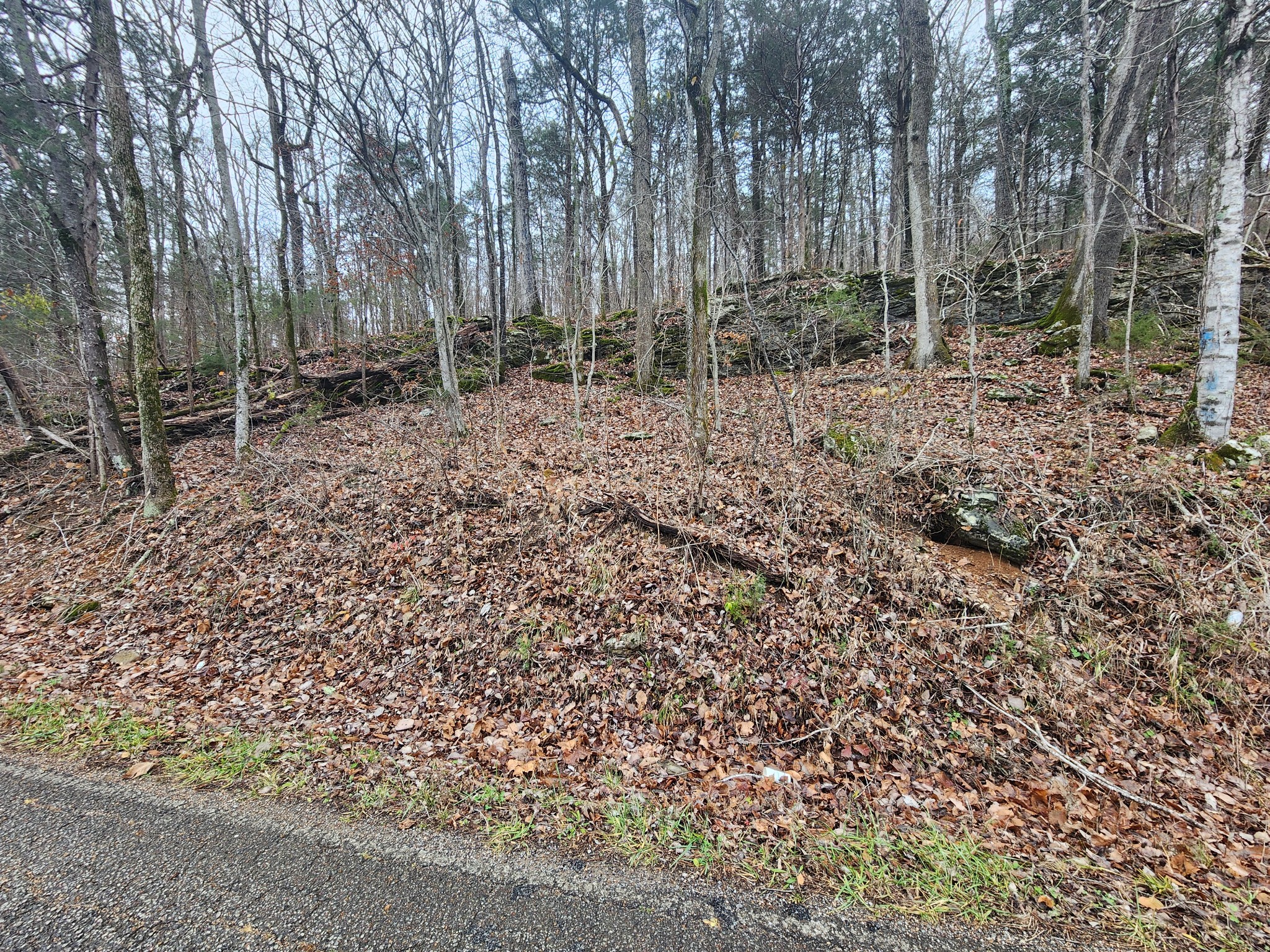 252 Williams Hollow Rd Property Photo 29