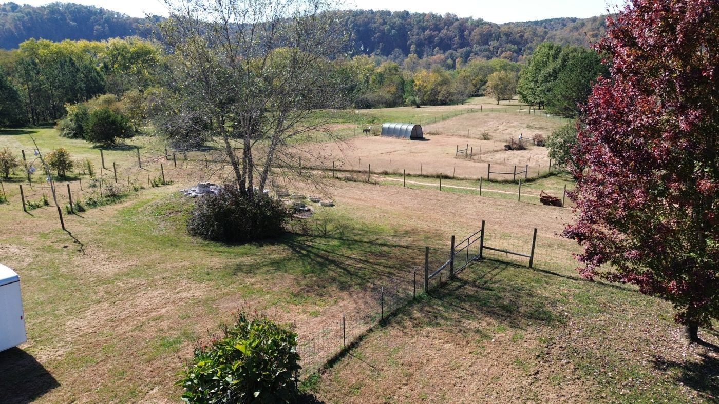 1250 Lower Shipps Bend Rd Property Photo 9