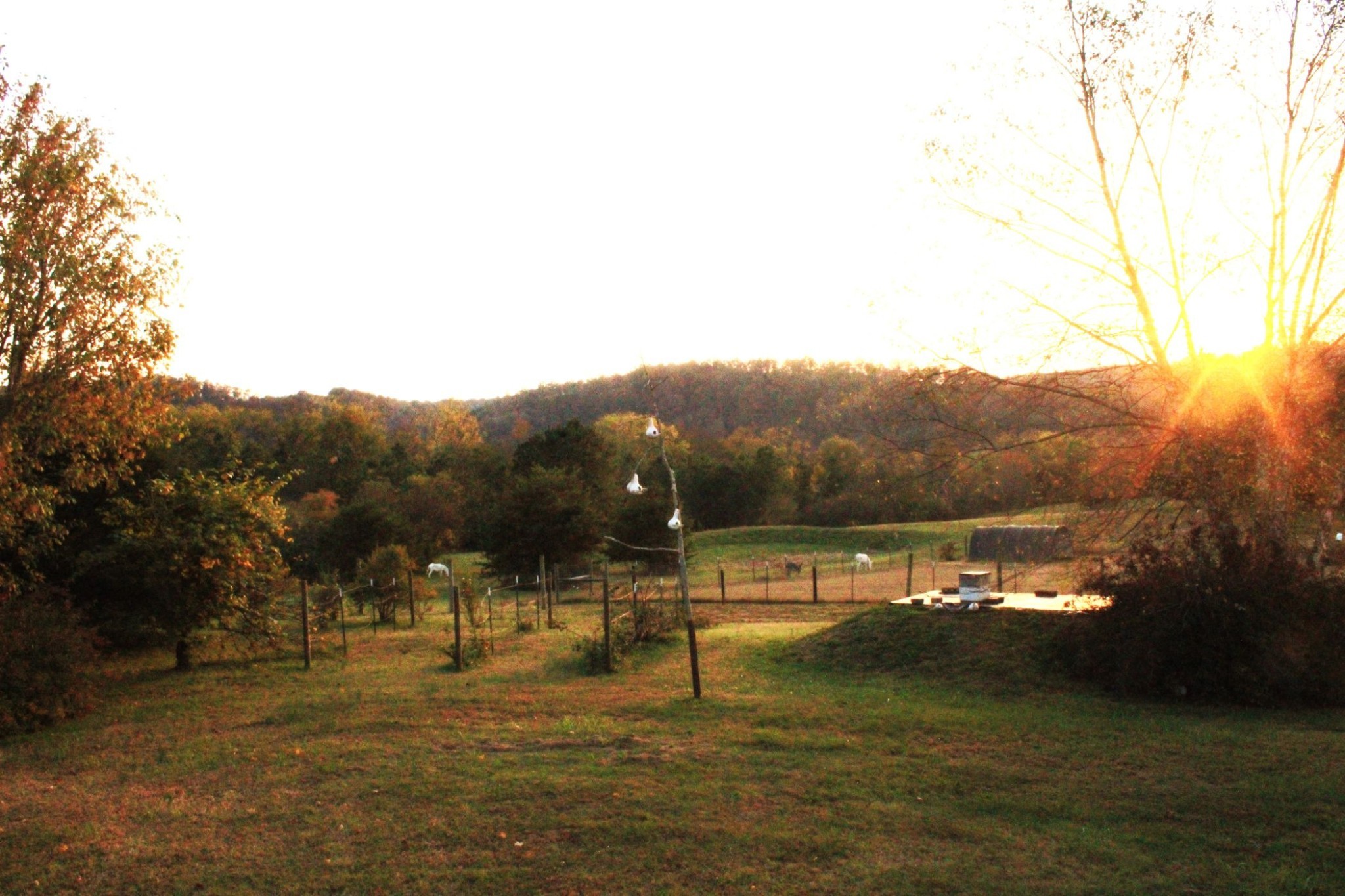 1250 Lower Shipps Bend Rd Property Photo 26