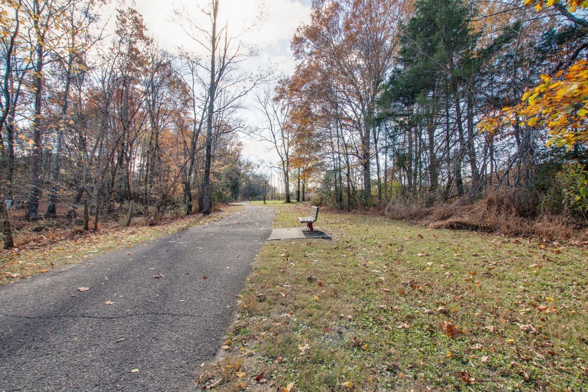 4100 Roane Drive Property Photo 31