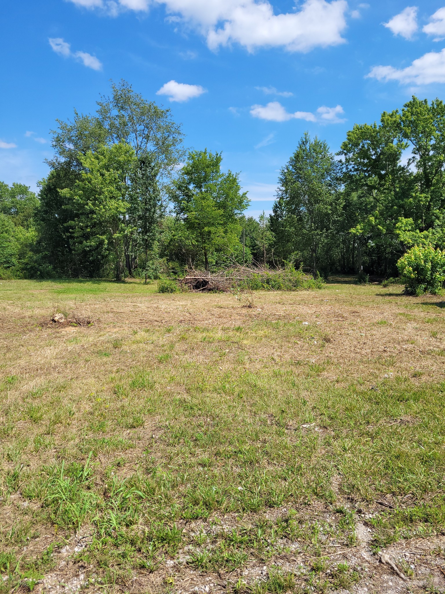 2816 Highway 43 Property Photo 4