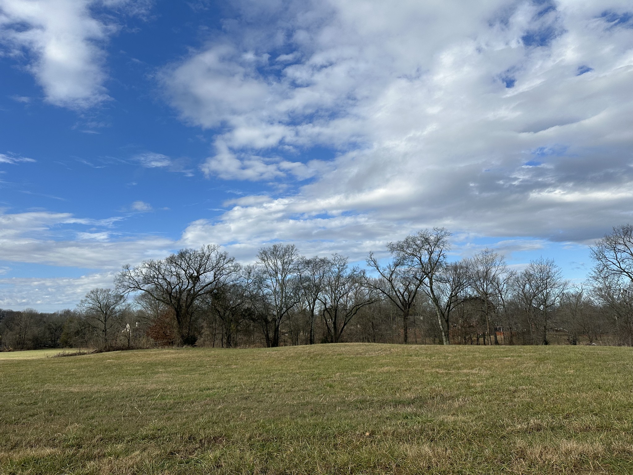 0 Golden Bear Gateway Property Photo 39