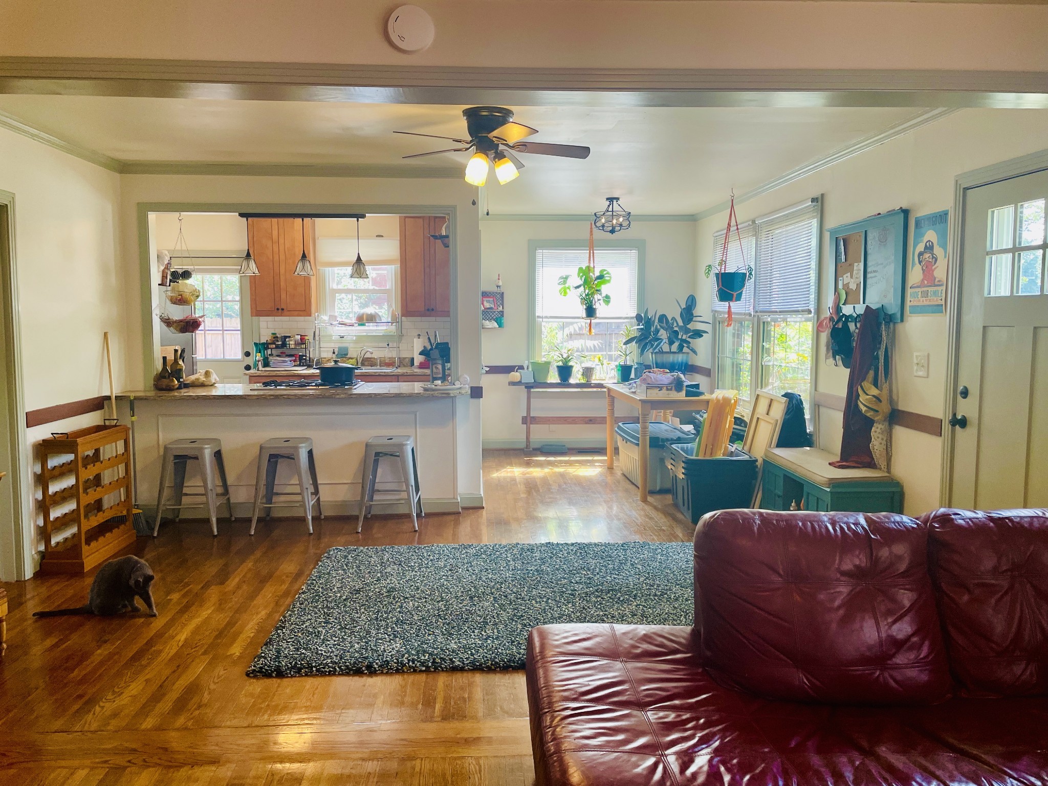 5551 Knob Rd Property Photo 2
