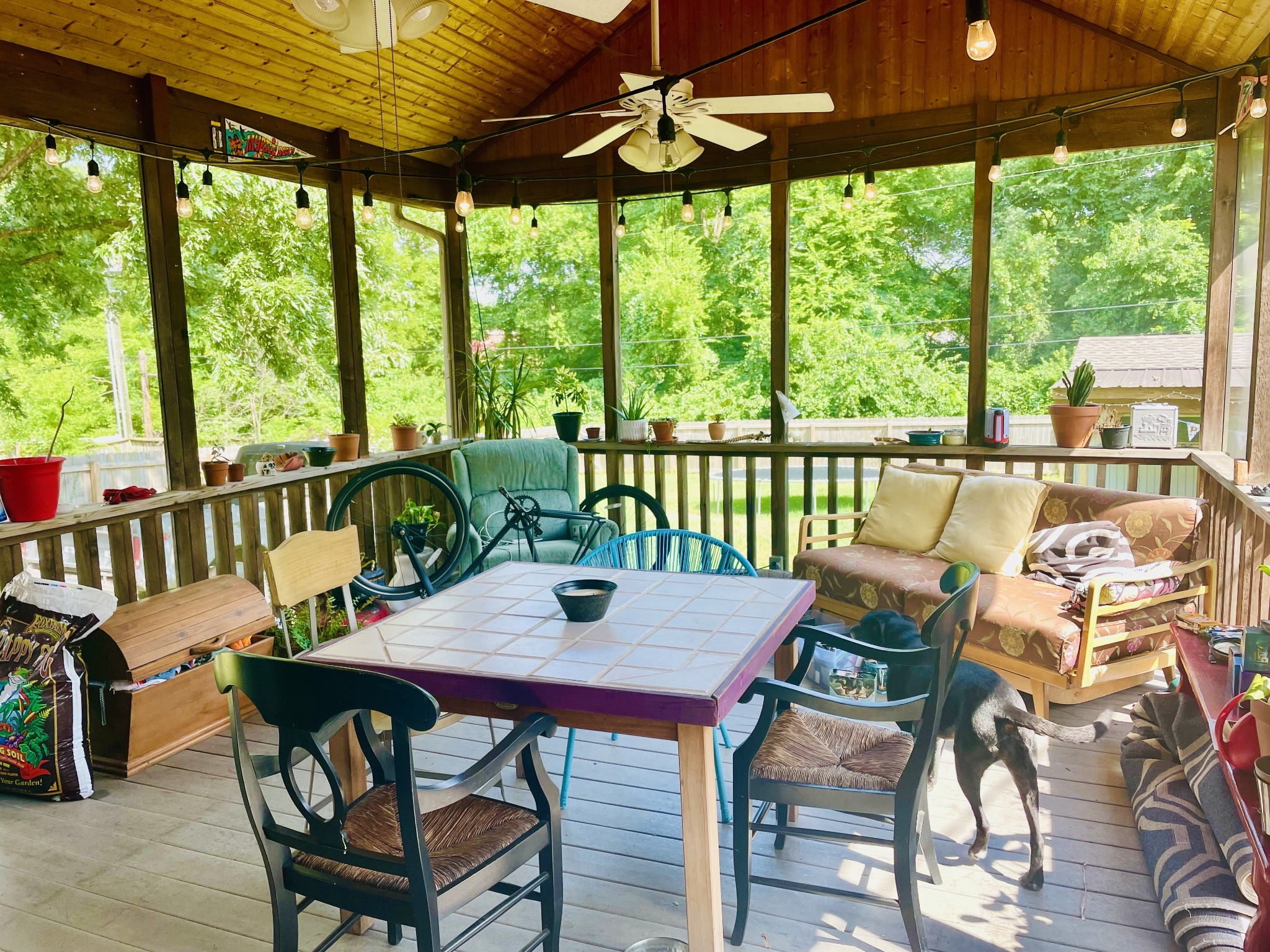 5551 Knob Rd Property Photo 32