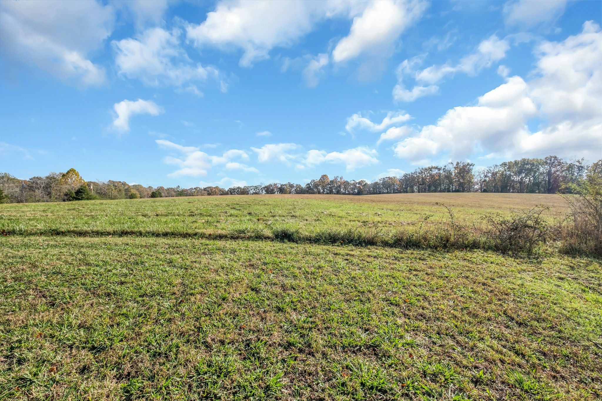 1305 Hwy 48 South Property Photo 9
