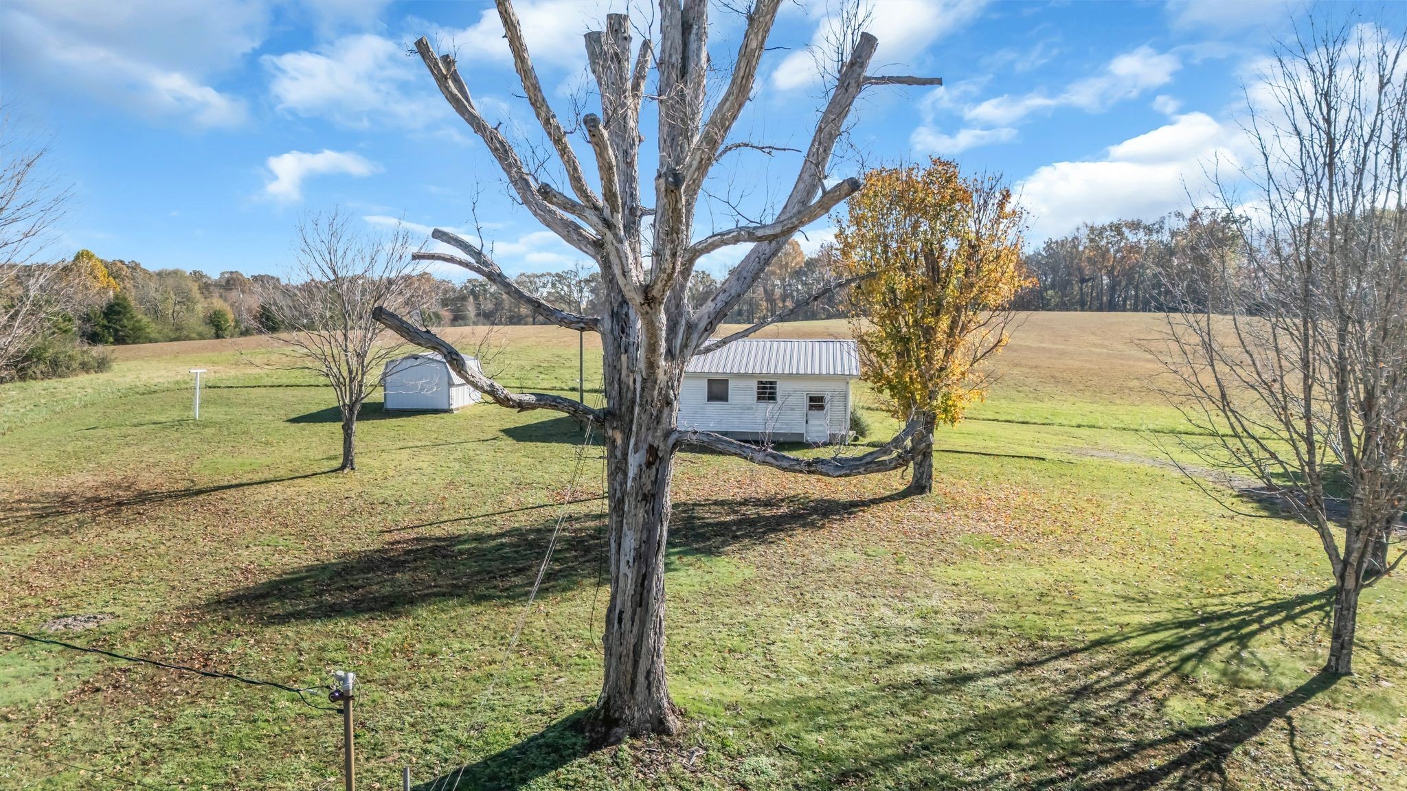 1305 Hwy 48 South Property Photo 19