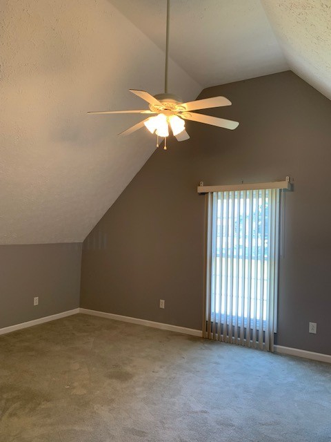 12 Fox Creek Ct Property Photo 26