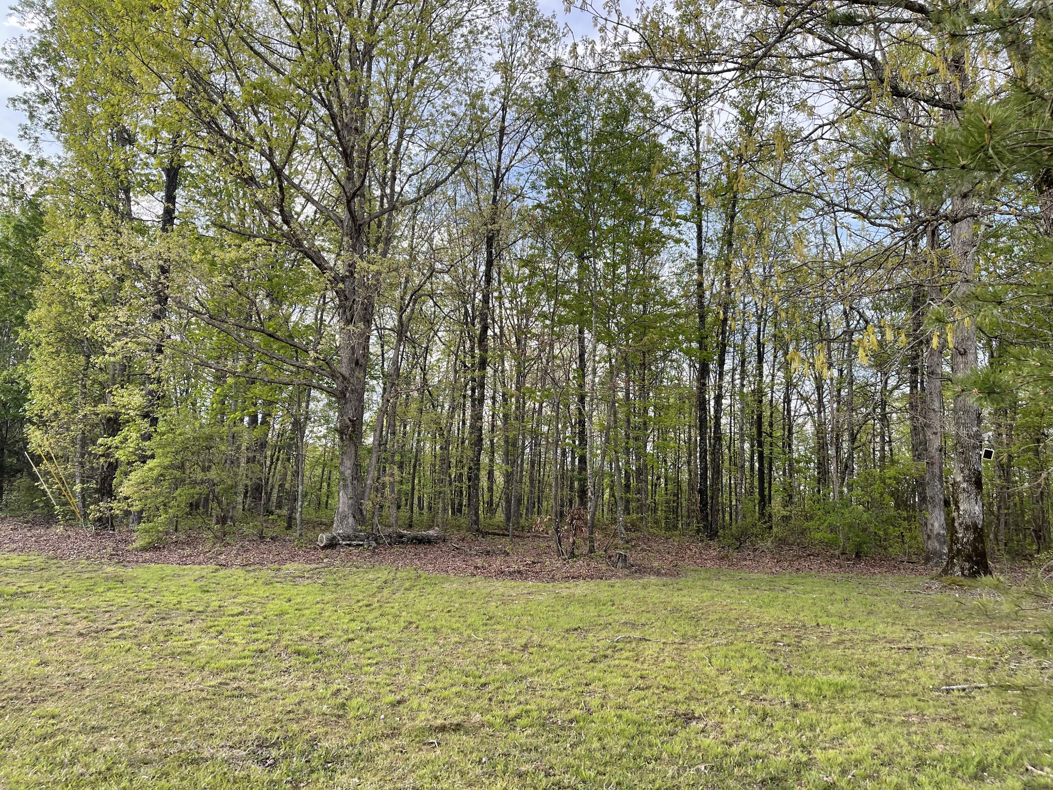 173 Twin Oaks Dr Property Photo 43