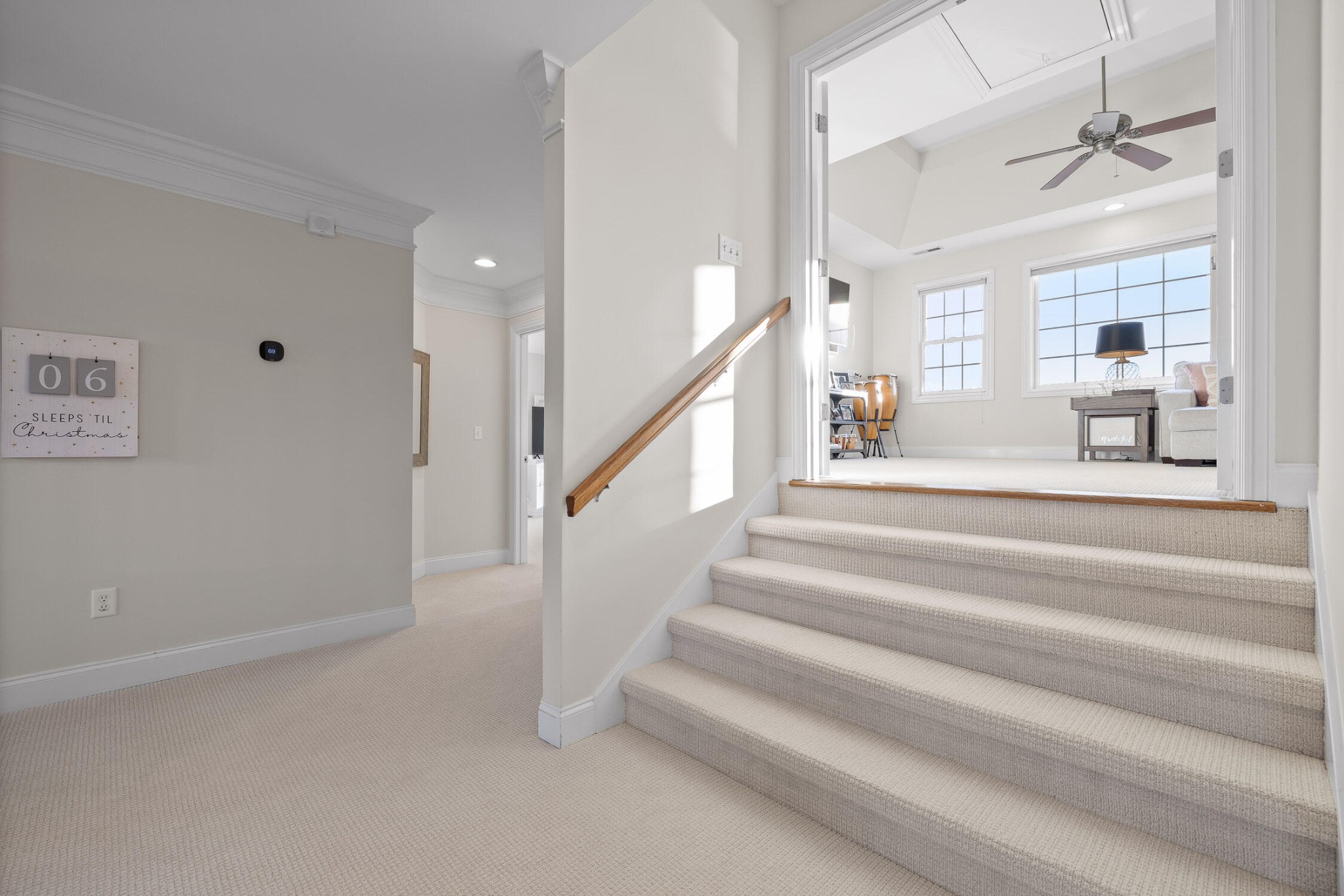 8410 Rambling Rose Drive Property Photo 46