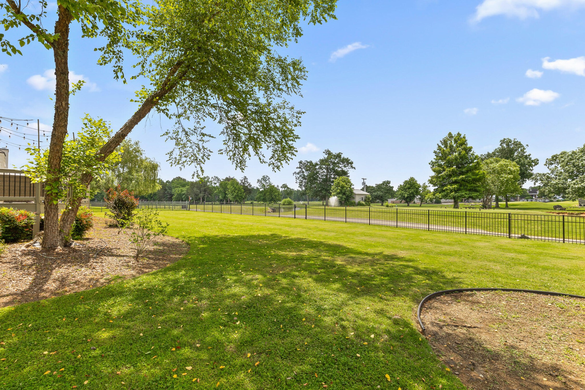 8410 Rambling Rose Drive Property Photo 54