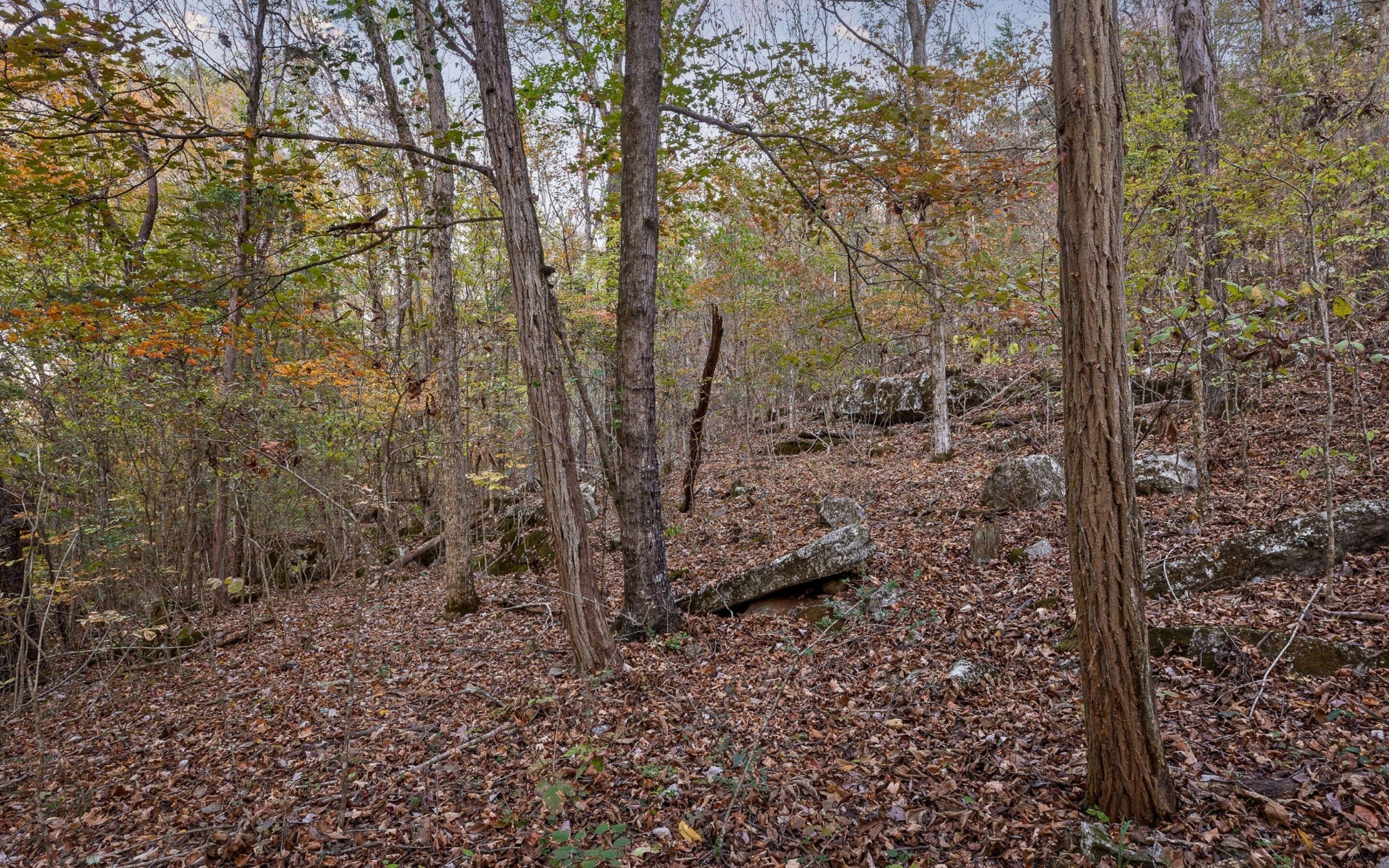 158 County Road 677 Property Photo 48
