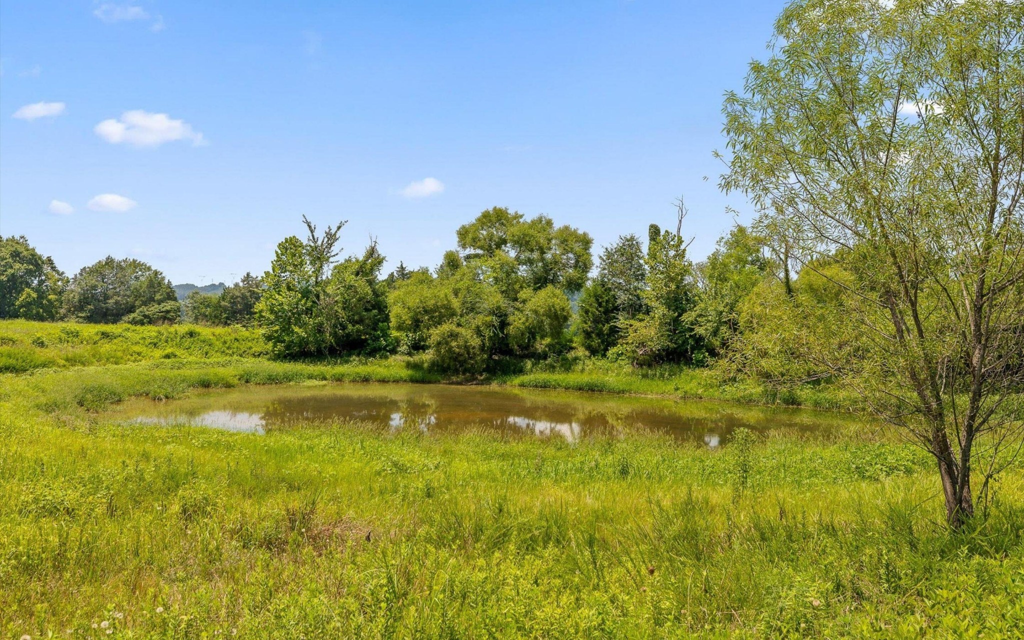 158 County Road 677 Property Photo 50