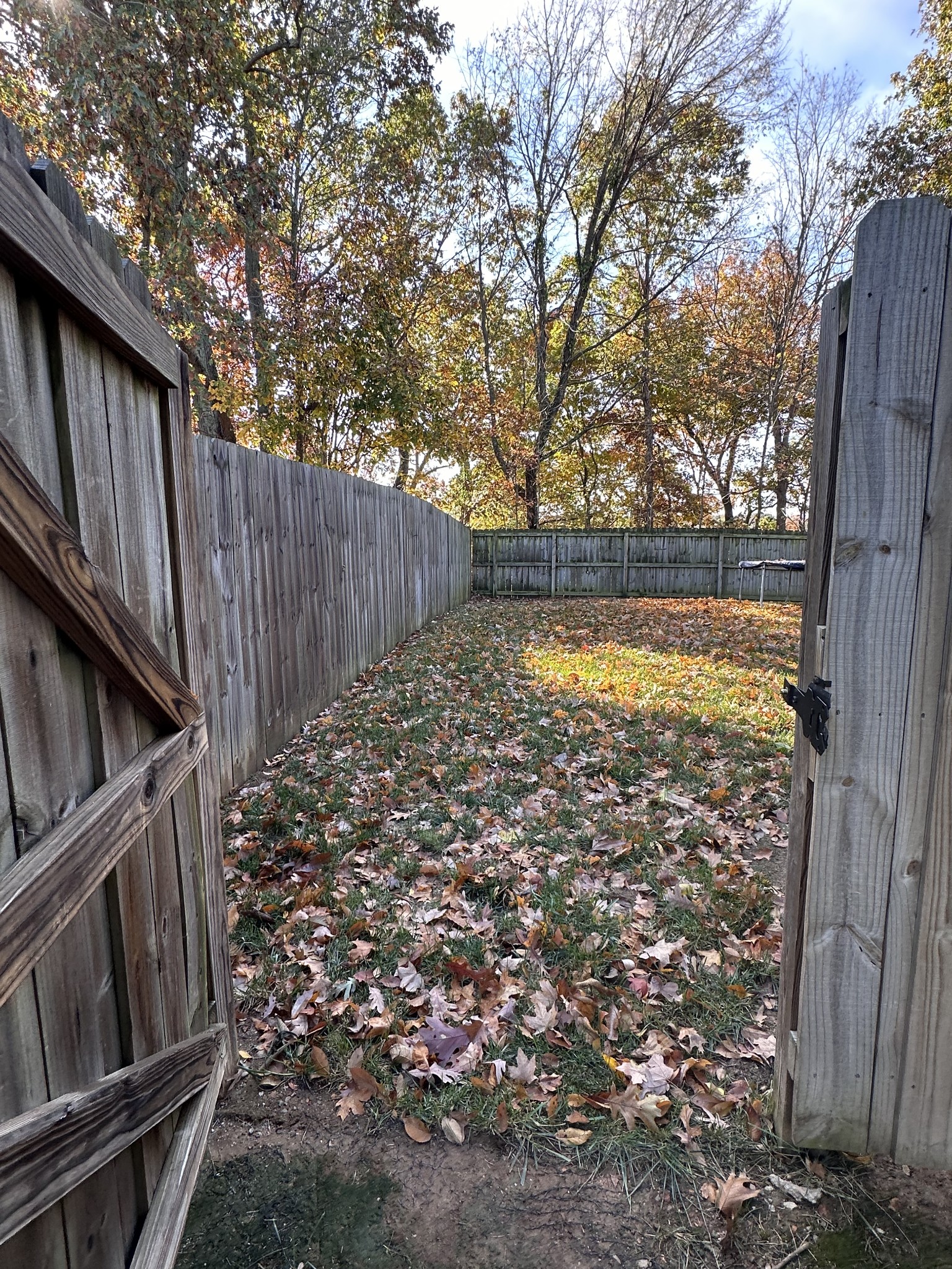 1054 Harrison Way Property Photo 4