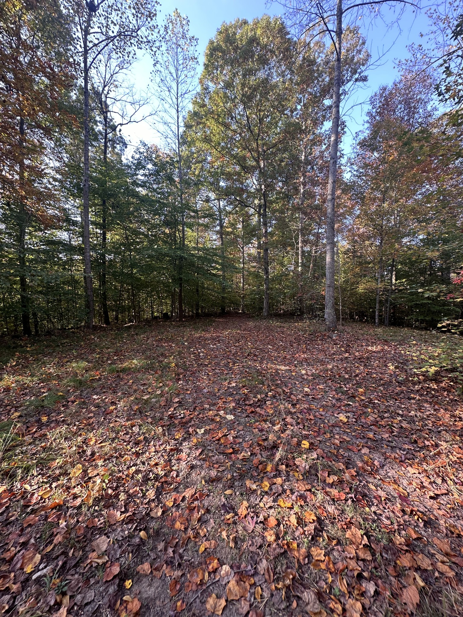 5776 Craft Rd Property Photo 9