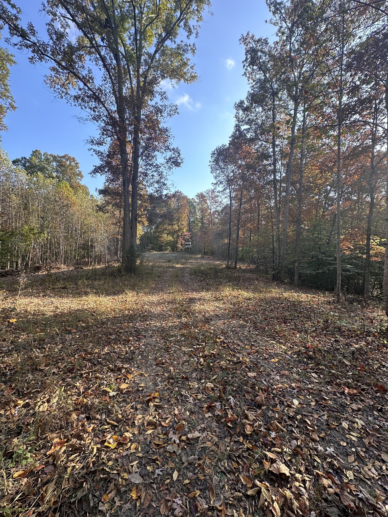 5776 Craft Rd Property Photo 10