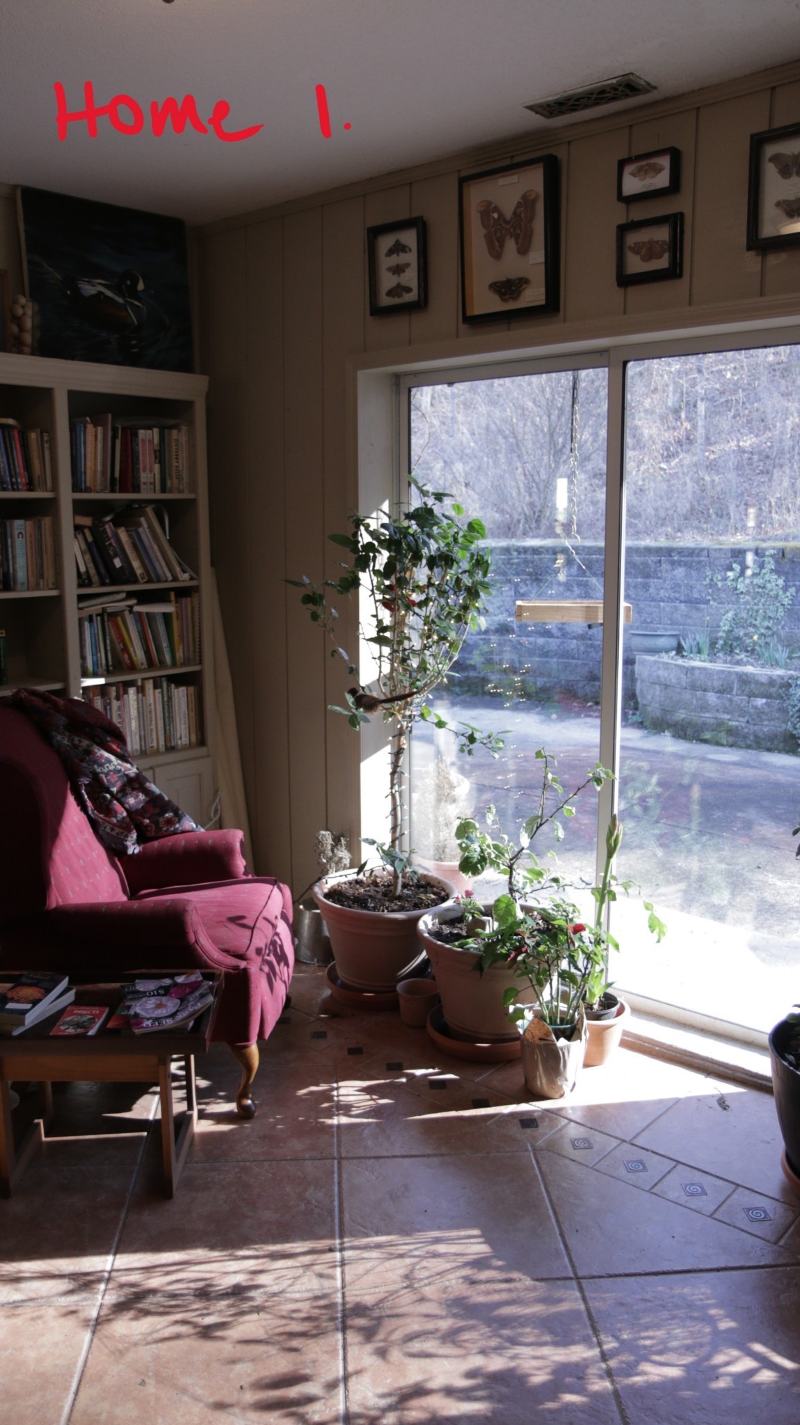 168 Three Springs Rd Property Photo 14