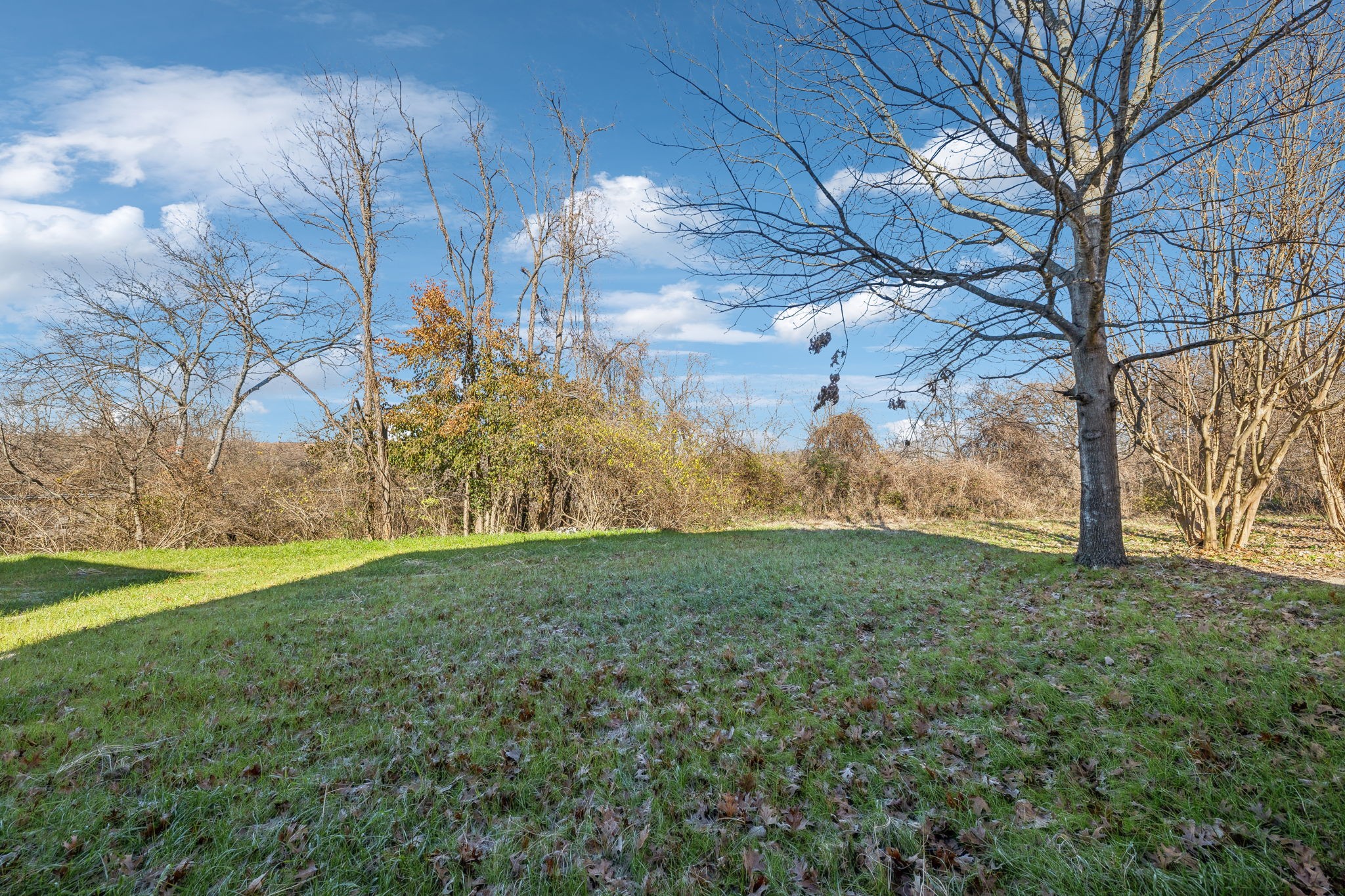 3816 Tigerbelle Dr Property Photo 27