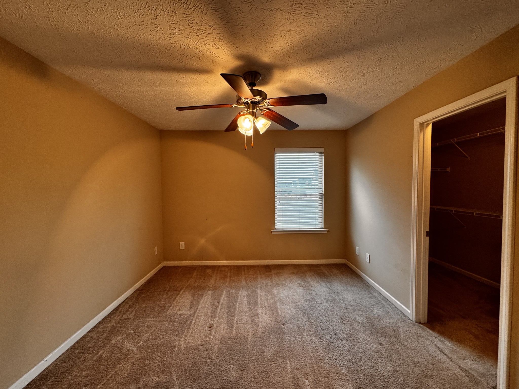 802 Lower Park Pl Property Photo 17