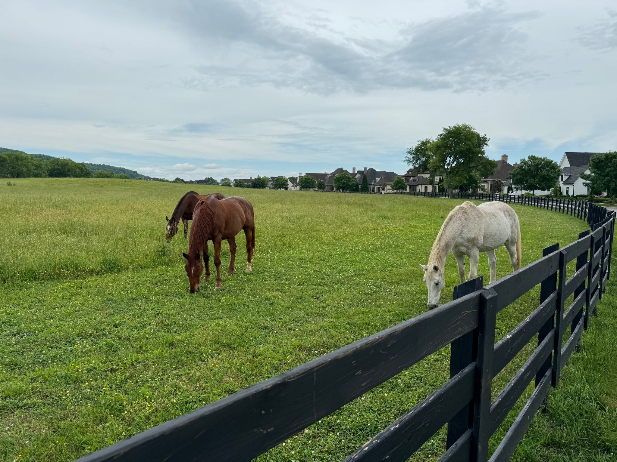 6017 Native Pony Trl Property Photo 69