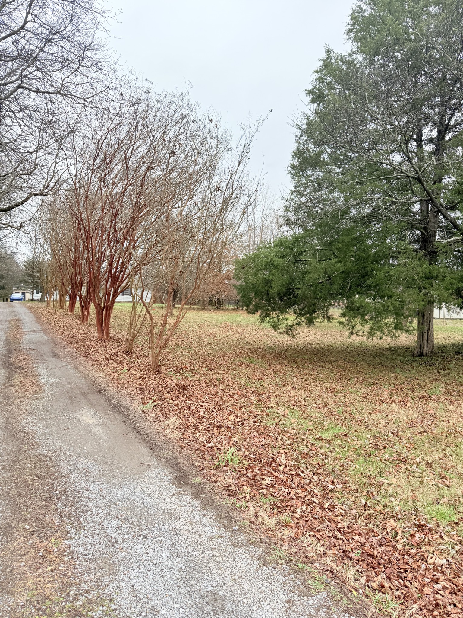 12252 Karo Rd Property Photo 27