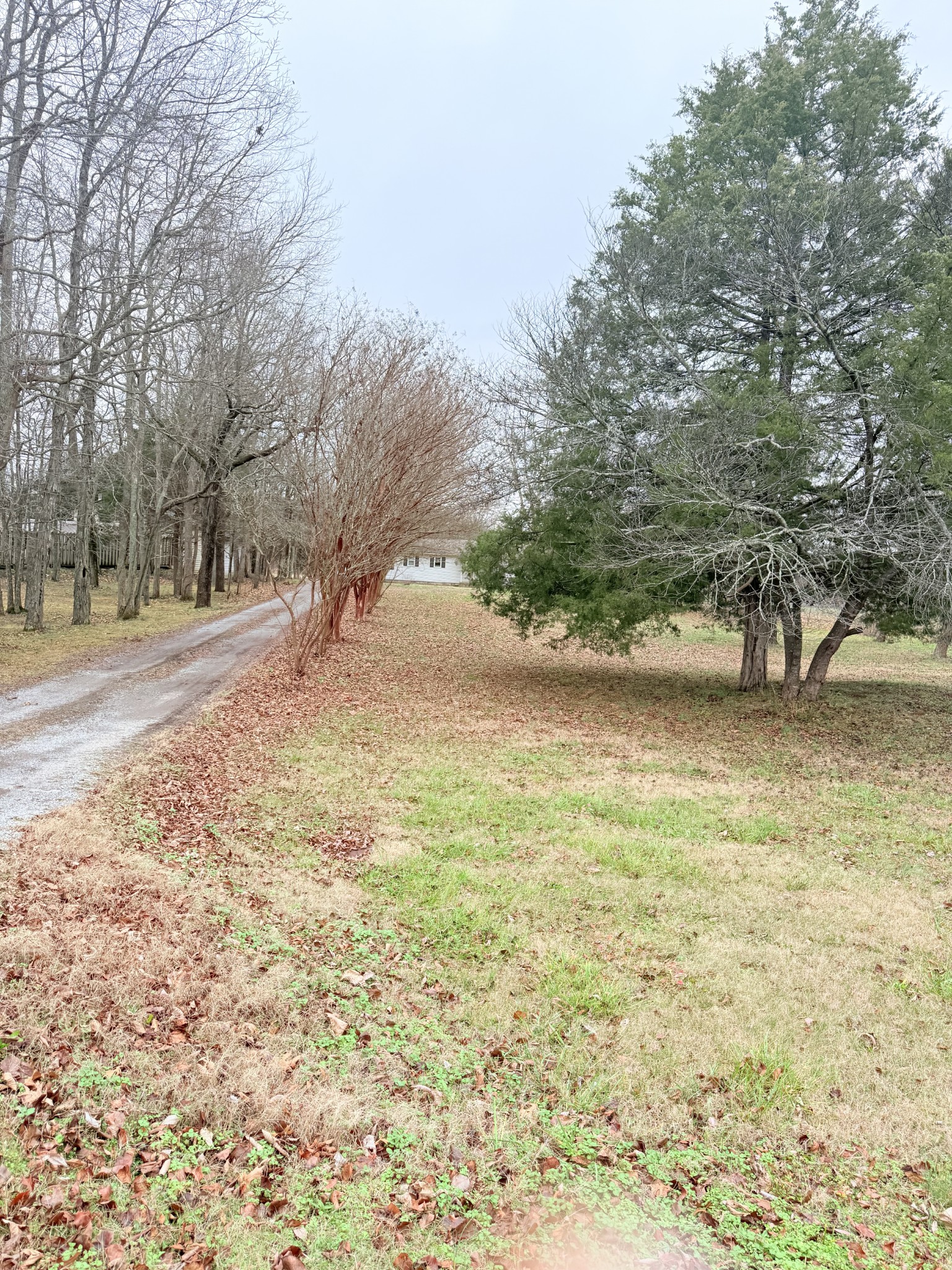 12252 Karo Rd Property Photo 28