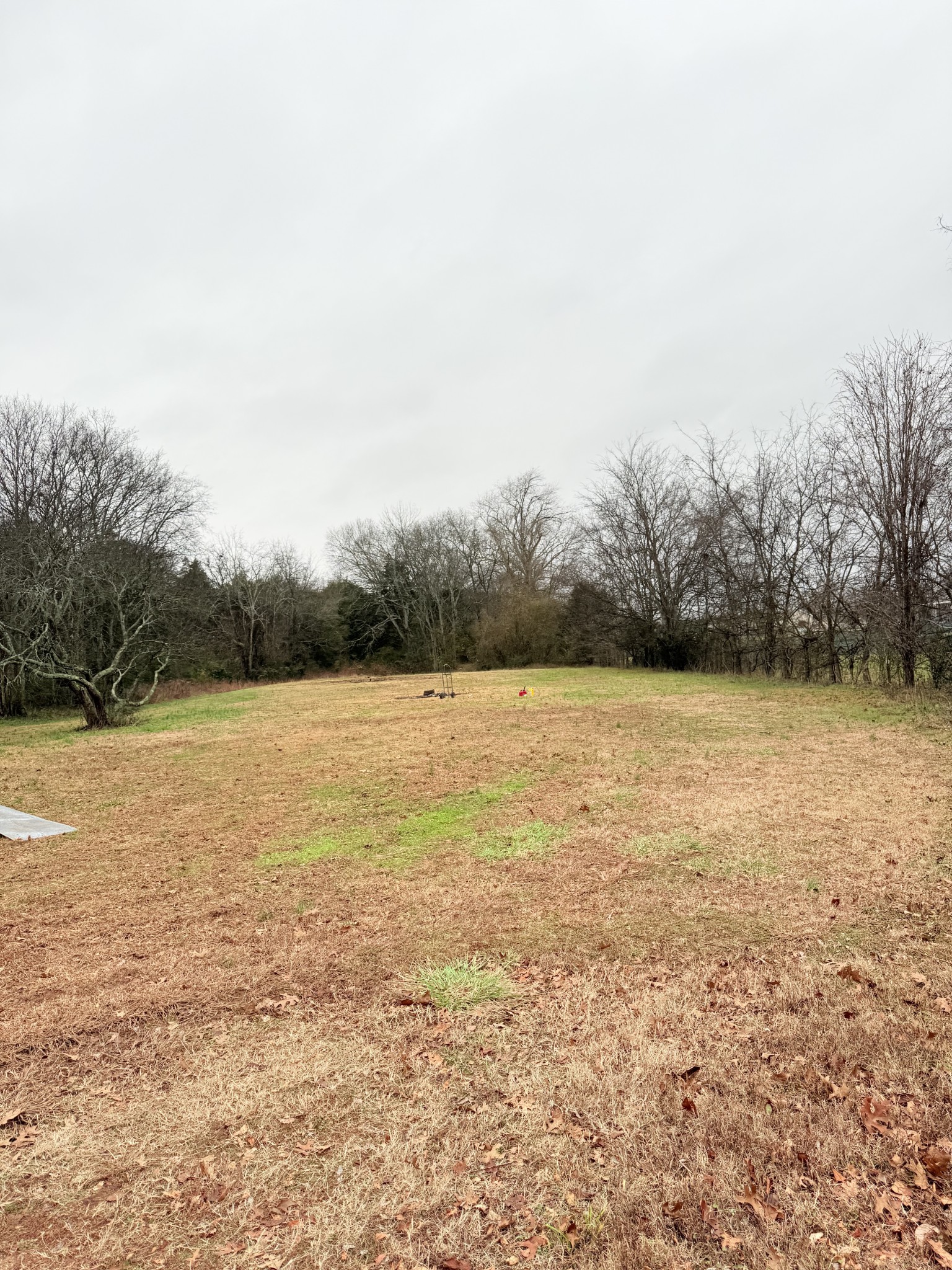 12252 Karo Rd Property Photo 31