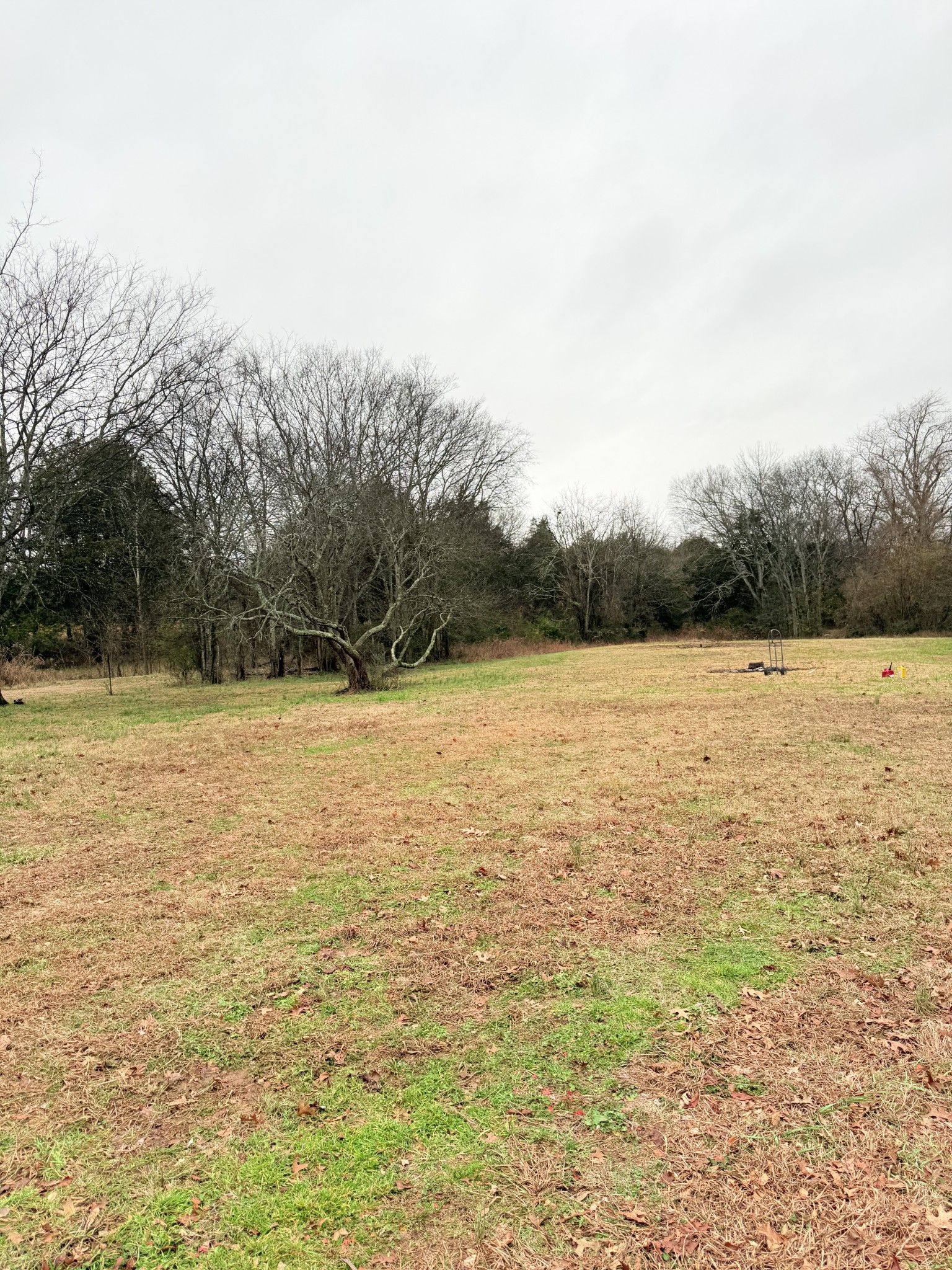 12252 Karo Rd Property Photo 32