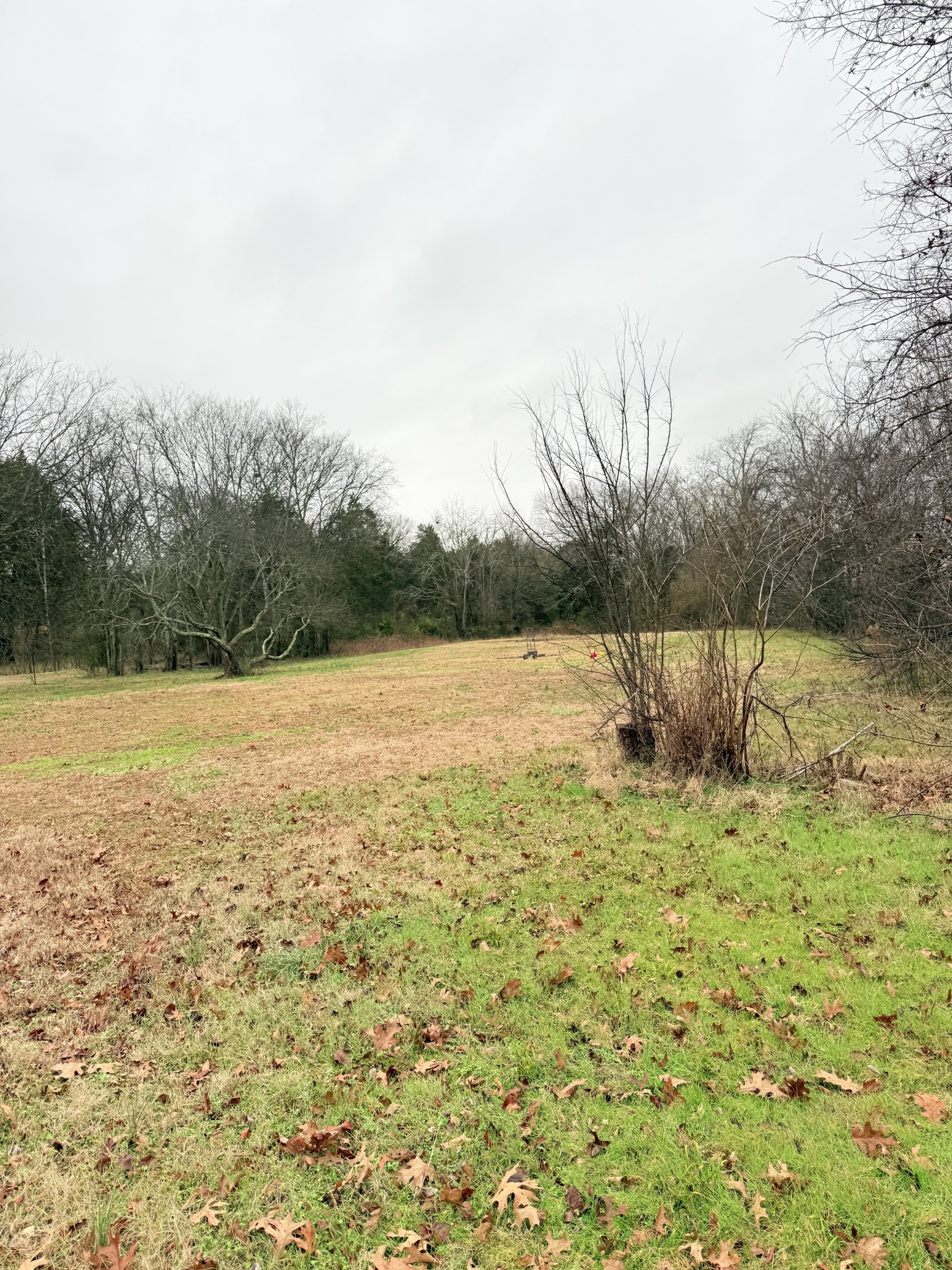 12252 Karo Rd Property Photo 34